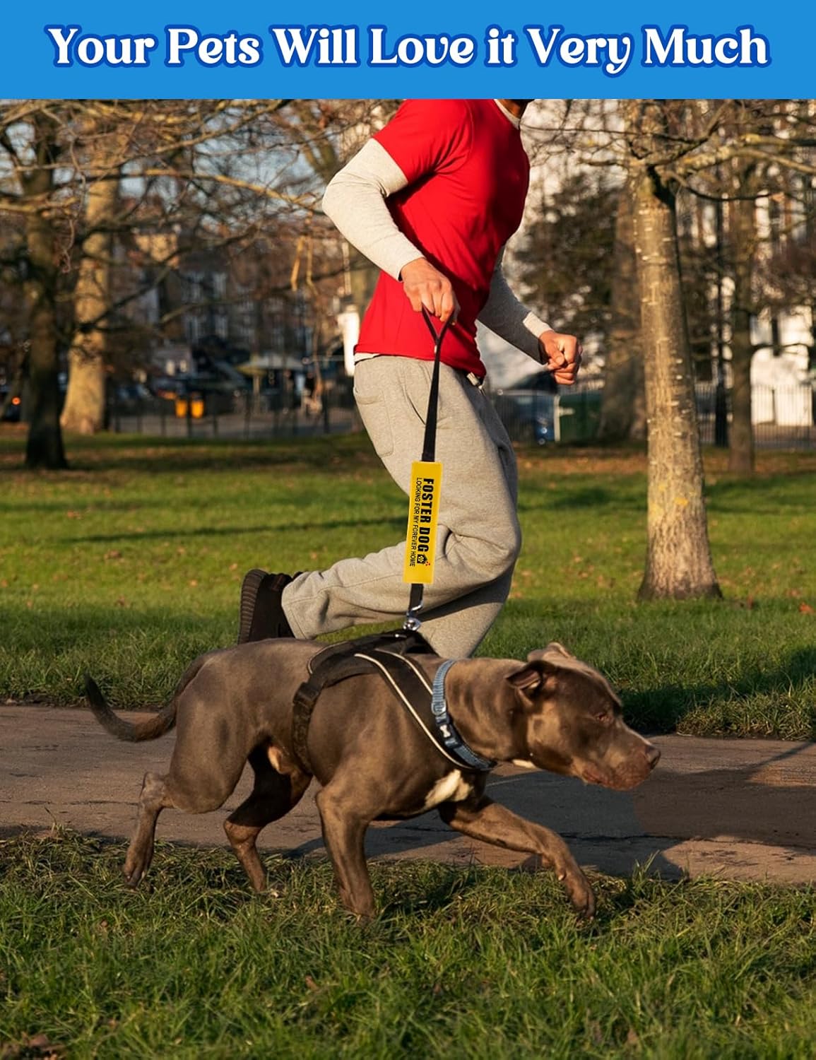 Foster Dog Looking for My Forever Home Dog Leash Sleeve, Funny Yellow Dog Leash Wrap Alert Hanging ID Patch Tag, Service Dog Leash Wrap Dog Pet Leash Sleeve Pet Birthday Gifts for Dog Owners