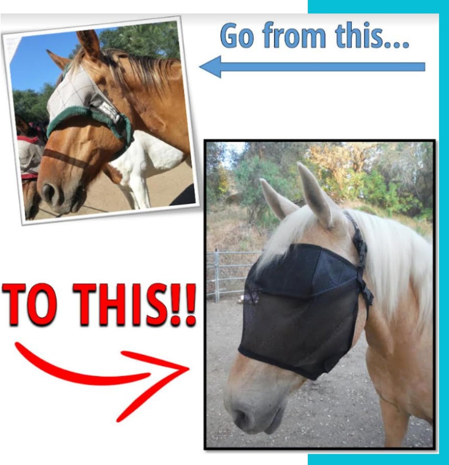 EquiVizor 95% UV Eye Protection (Mini) Standard Horse Fly Mask - Help with Uveitis, Corneal Ulcer, Light Sensitivity. Designed to Stay On Your Horse, Off The Ground.