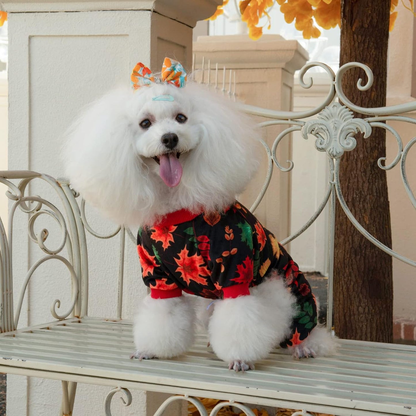 CuteBone Dog Halloween Pajamas Puppy Onesies Small Dogs Soft Pjs Coat Cat Apparel Comfy Pet Christmas Clothes Outfit Doggie Bodysuit P265L