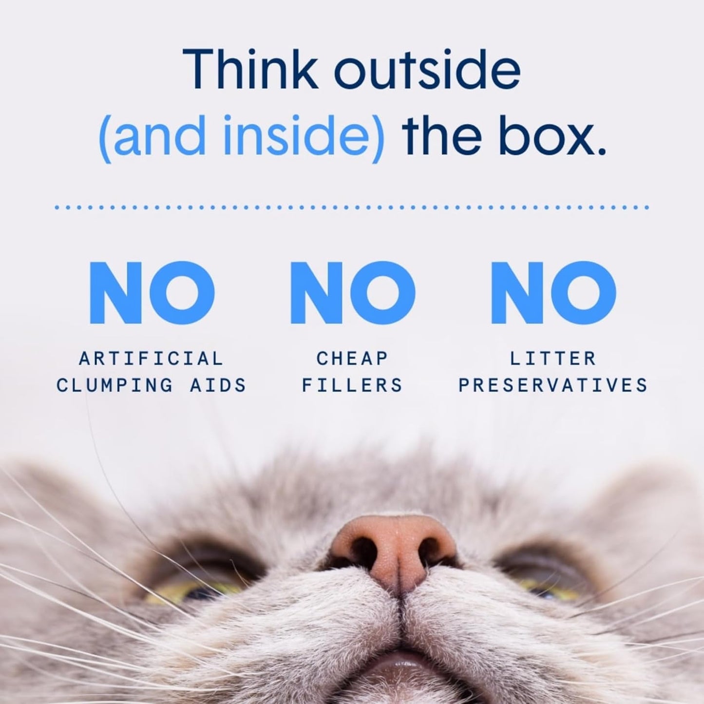 Boxie Gently Scented Cat Litter, Lightweight 30-Day Odor Control, Clumping, 6.5lb