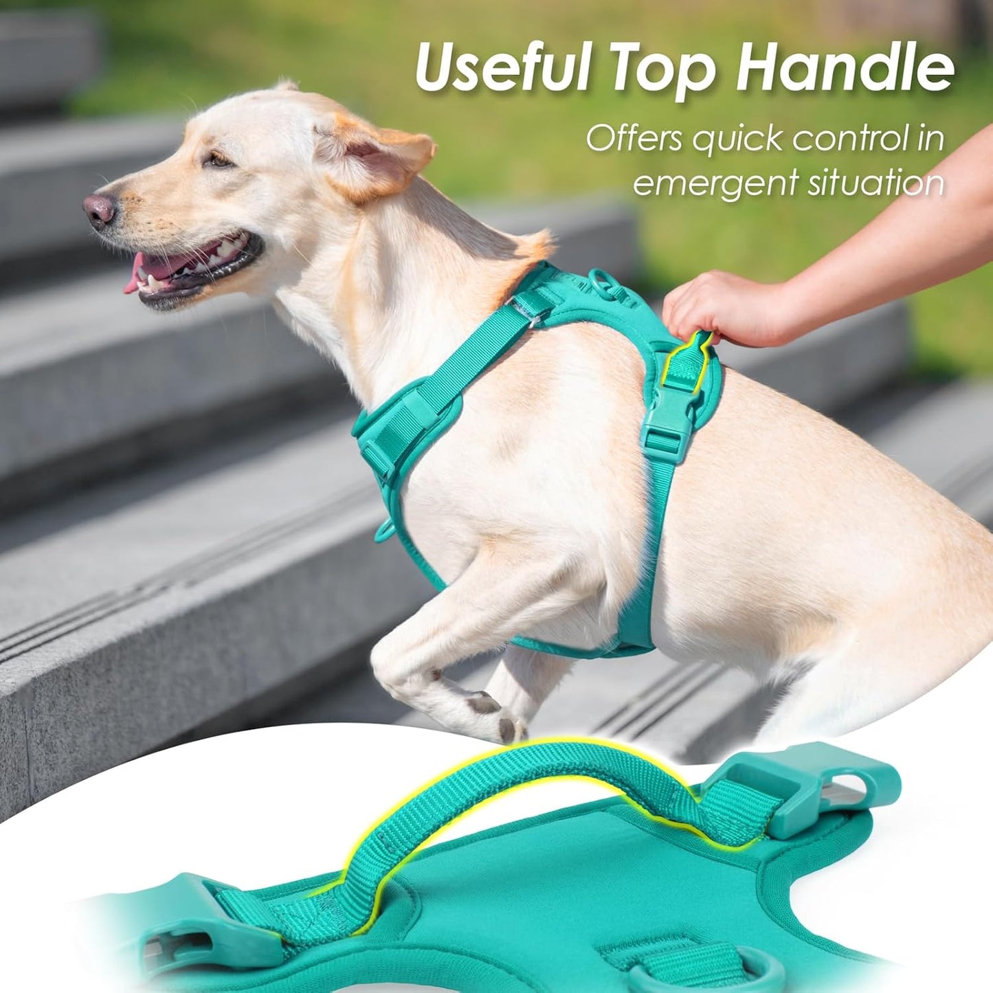 No Pull Dog Harness, Puppy Vest with Front Clip for Small Medium Large Sized Dog(MARRS Green,M)