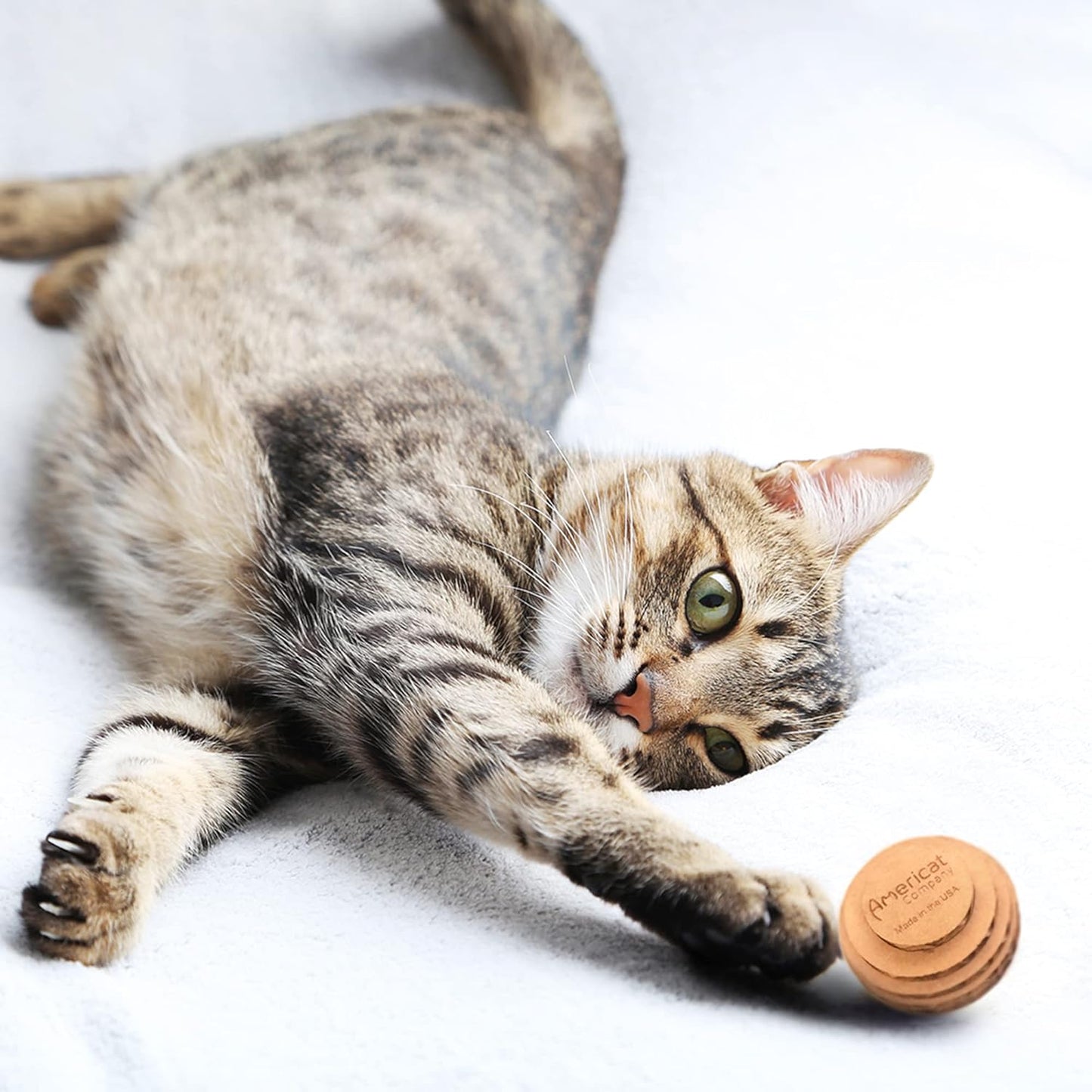 Cat Ball Toys by Americat – Made in USA – Safe Cardboard Cat Toys – for Interactive and Independent Play, Exercise & Stress Relief for All Breeds & Ages (Pack of 3 Round Balls)
