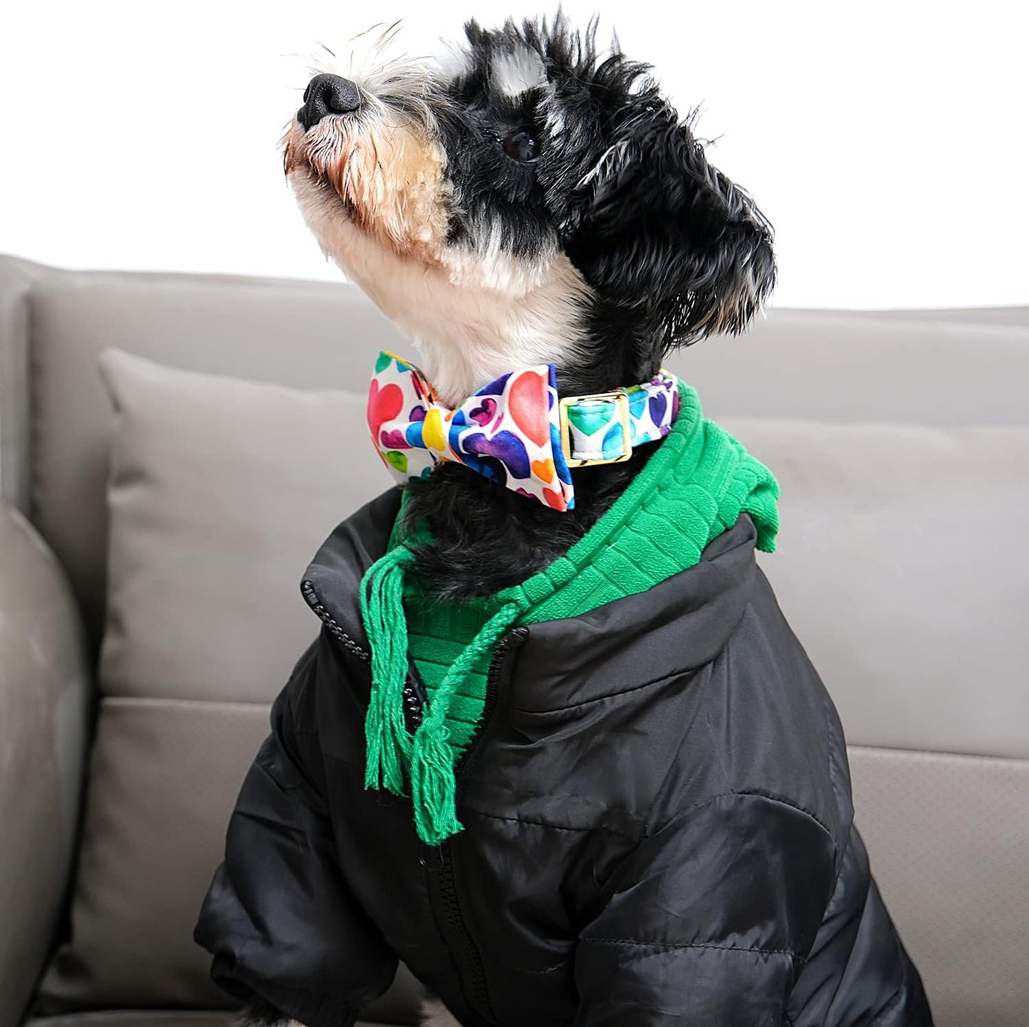 Lionet Paws Valentine's Day Dog Collar with Bowtie, Soft and Comfortable, Adjustable Collar for Medium Dogs, Neck 13.5-22 inches