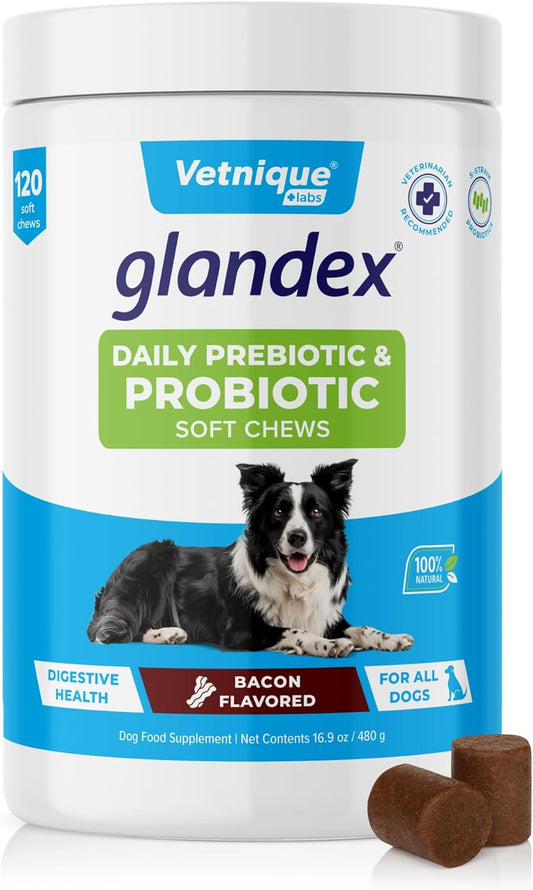 Vetnique Glandex Daily Probiotics for Dogs with Prebiotics to Support Gut Health with Fiber and Digestive Enzymes, Probiotic Chews or Powders (120ct Chews, Bacon Chews)