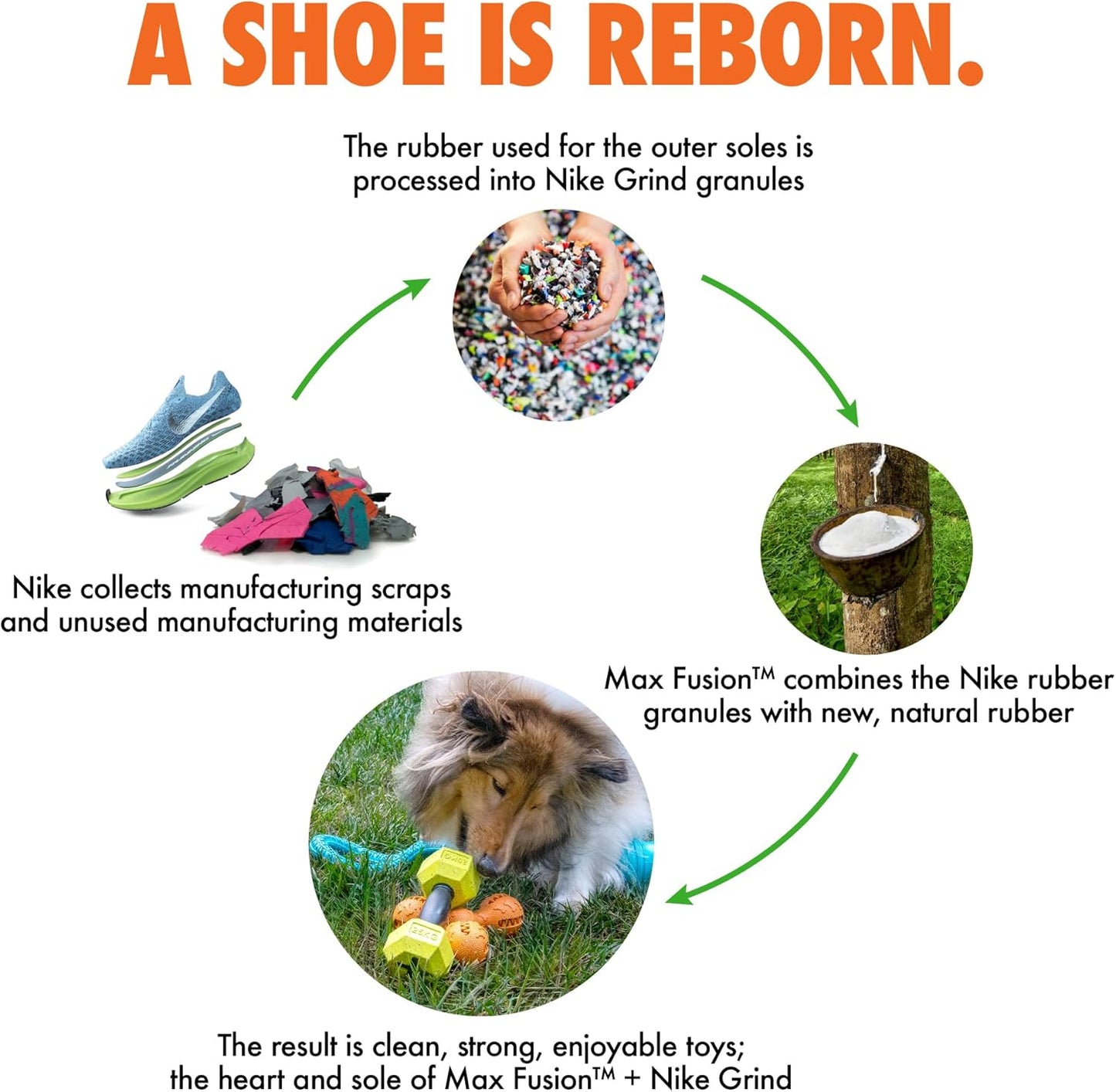 Max Fusion with Nike Grind, Arlee Roped Dog Toy, Chew Toy for Play, Fetch, Tug, L