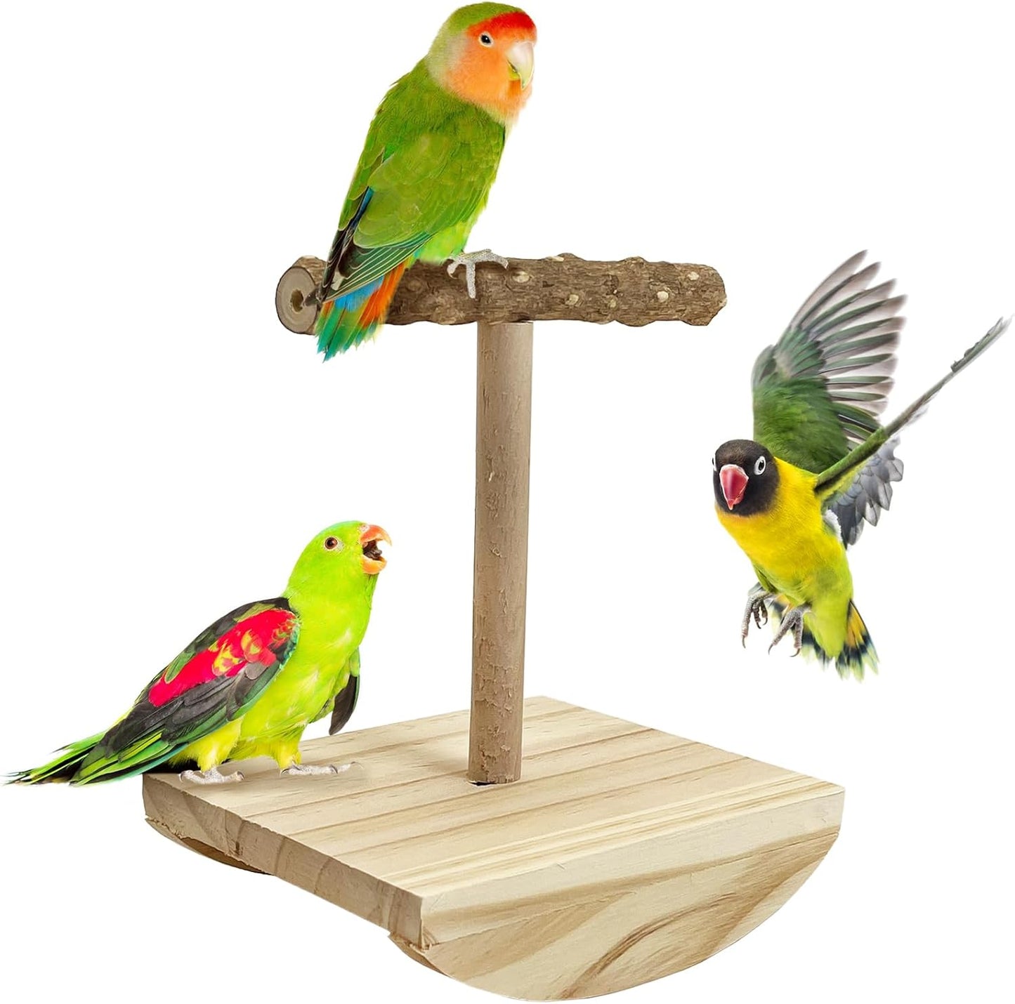 kathson Bird Training Stand, Parakeet Playground Bird Perch Stand Portable Tabletop Bird Perch Parrot Stand perches T Shaped Bird Play Stand for Parakeets Conures Lovebirds Cockatiels