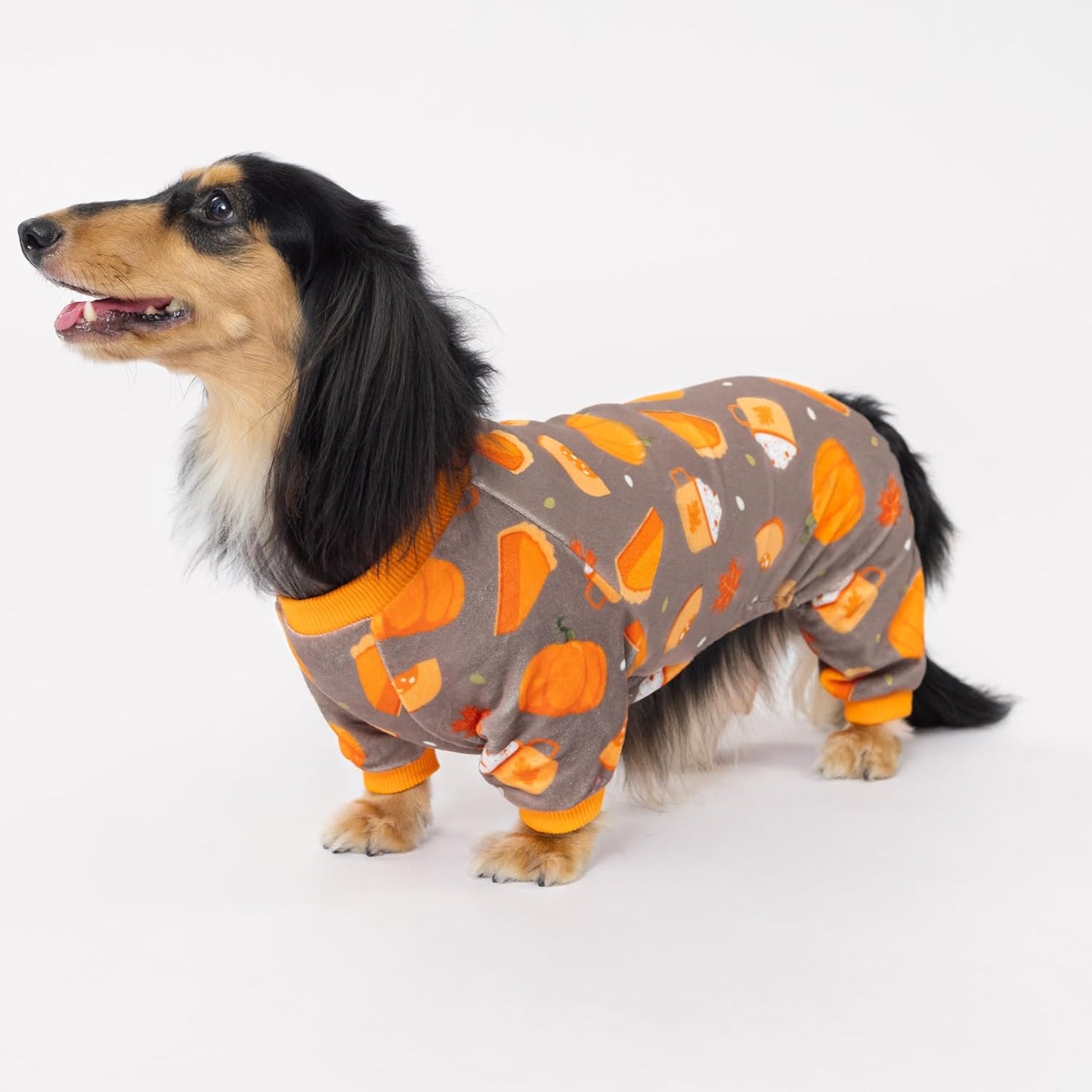 Fitwarm Pumpkin Dog Pajamas, Thanksgiving Outfit for Small Dogs Boy Girl, Pet Onesie, Brown, Orange, Large