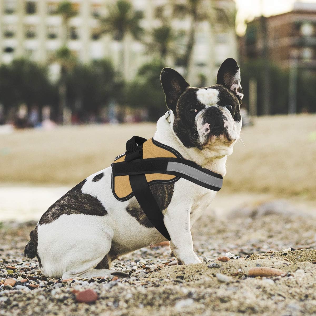 Bolux Dog Harness, No-Pull Reflective Dog Vest, Breathable Adjustable Pet Harness with Handle for Outdoor Walking - No More Pulling, Tugging or Choking (Army Yellow, M)