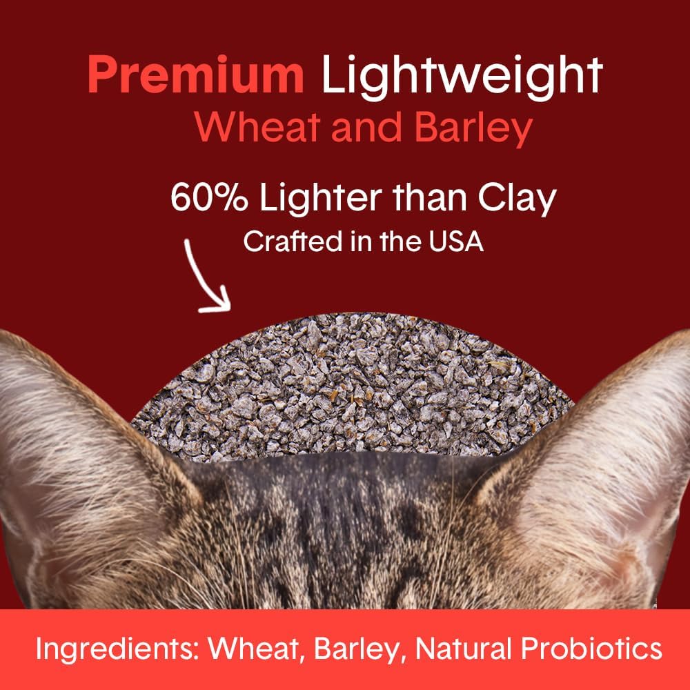 Boxie® Extra Strength Cat Litter, Lightweight 35-Day Odor Control, Clumping, 6.5lb