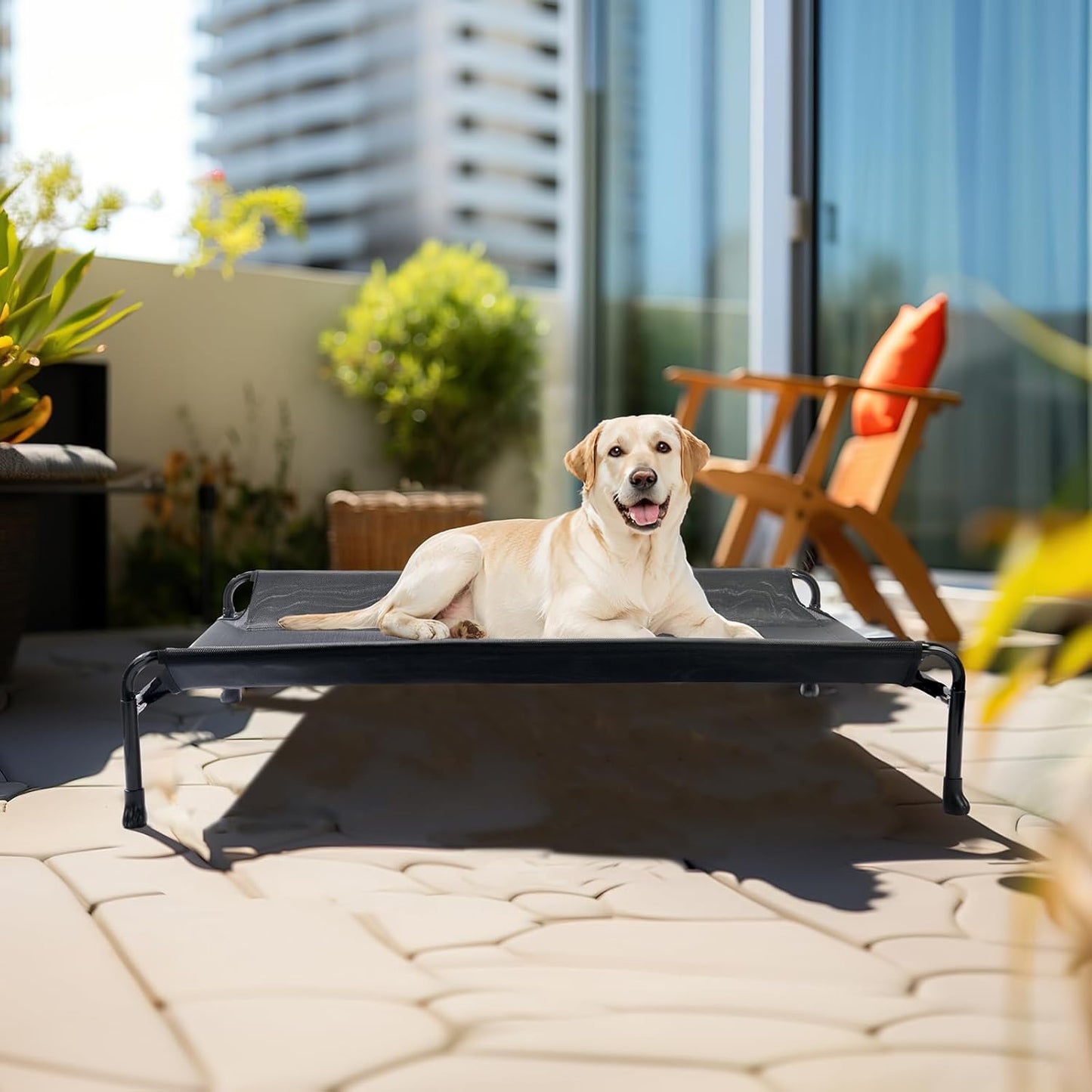 Veehoo Cooling Elevated Dog Bed - Raised for Large Dogs, Outdoor With Guardrail, Upgraded Non-Slip Feet, Breathable Teslin Mesh, Portable Camping Cot, 41 x 27 Inches, Black