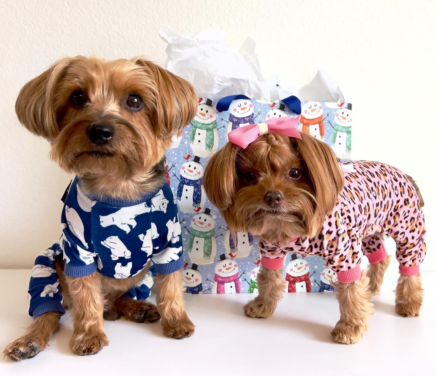 Fitwarm Leopard Dog Pajamas, Fleece Dog Clothes for Small Dogs Girl with Legs, Pet Onesie, Cat Outfit, Pink, Medium