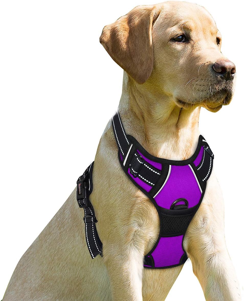 BARKBAY No Pull Dog Harness Front Clip Heavy Duty Reflective Easy Control Handle for Large Dog Walking(Purple,S)
