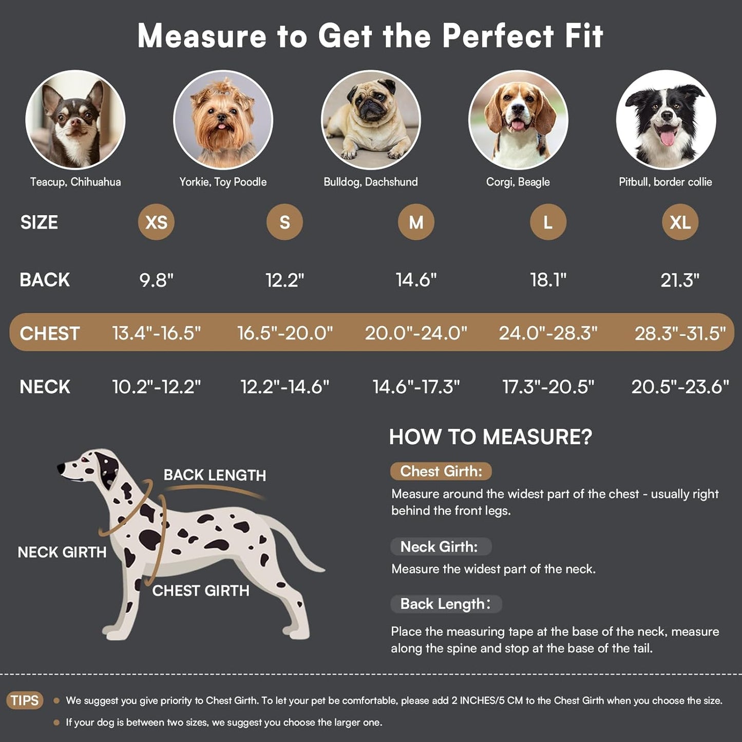 Queenmore Dog Winter Coat Warm Puffer Jacket Waterproof Plush Lining Thermal Cold Weather Vest for Small Medium Large Dogs, Windproof Easy On Pet Jacket Blue XS