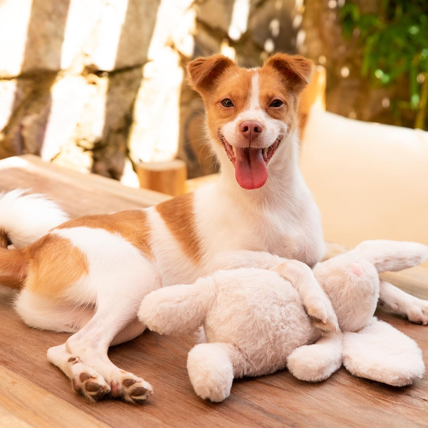 Best Pet Supplies Interactive Squeaky Dog Chew Toy, Ideal Dog Toys for Chewers, Small, Medium & Large Dogs, and Fetch Lovers - Bunny (Beige), Small