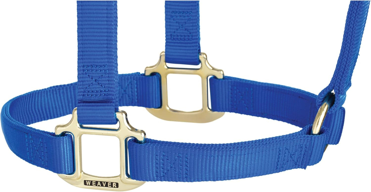Weaver Equine Nylon Horse Halter, Triple-Ply Cheek Design, Original Non Adjustable Halters for Horses, Equine Tack,Average Size, Black
