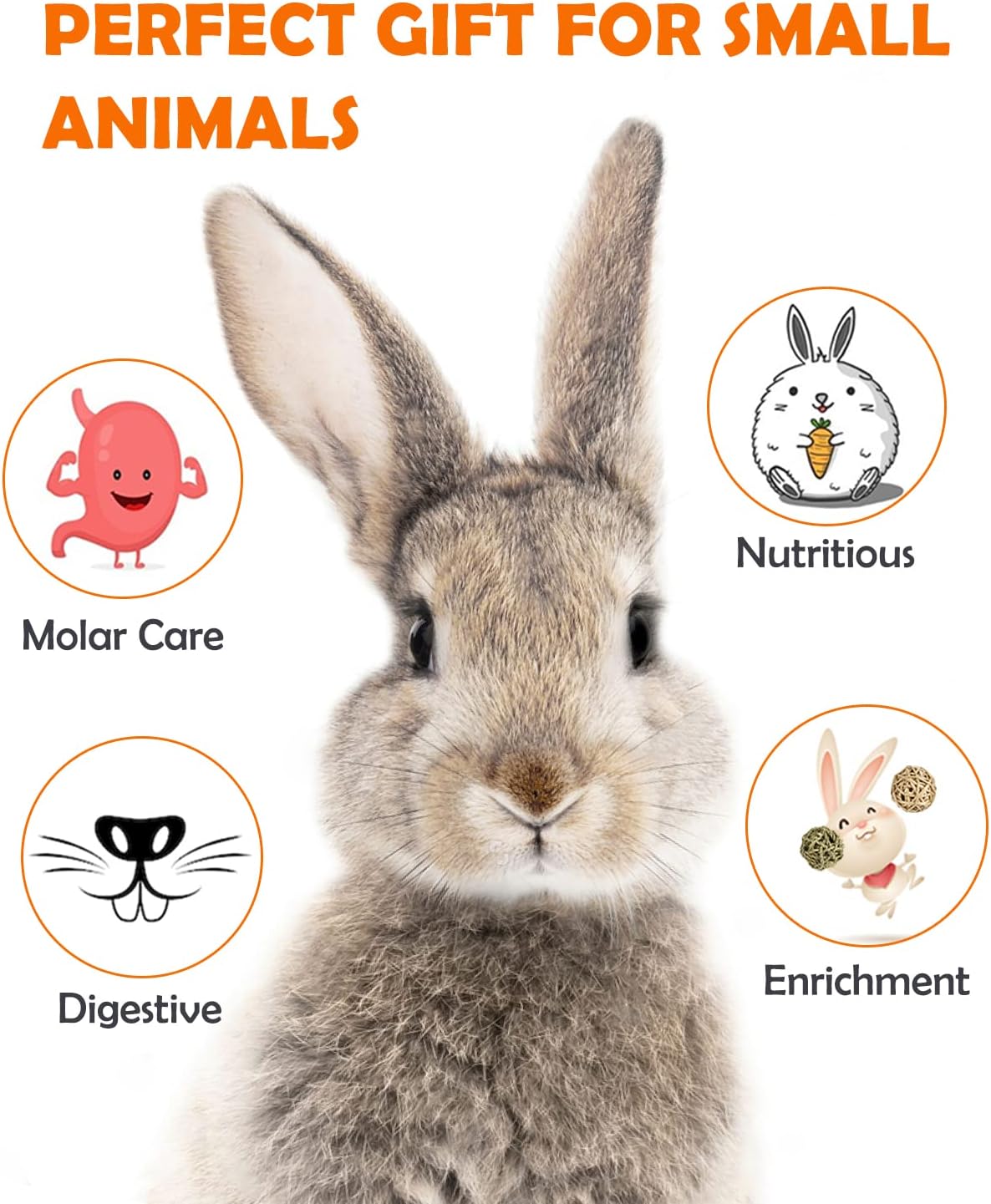 Sofier 12Pcs Timothy Hay Treats - Natural Chews for Teeth - Handmade Rabbit, Chinchilla, Gerbil, Rat, Hamster Toys - Bunny & Guinea Pig Toys