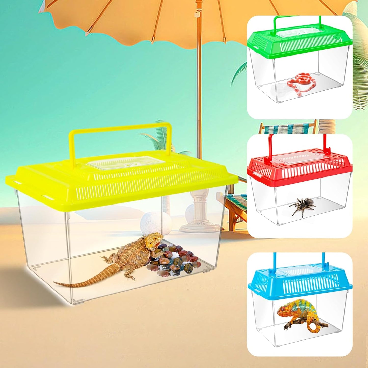 12Pcs Plastic Reptile Terrariums Carrier Cage Tarantula Enclosure Snake Breeding Box Hatching Container Transparent Fish Tank Turtle Aquarium with Random Color Lid for Spider, XS(5.1” x 3.5” x 3.5”
