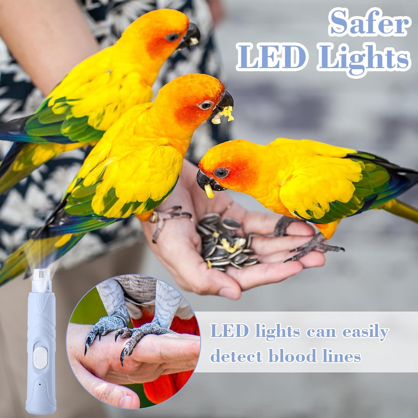 Lasnten 2 Pcs Bird Nail Grinder with Bird Nail Clipper Bird Nail Trimmer Bird Nail File with LED Lamp Grooming Tool for Bird Parrot Budgerigars Parakeets Myna Conure Parakeets Finches Lovebirds