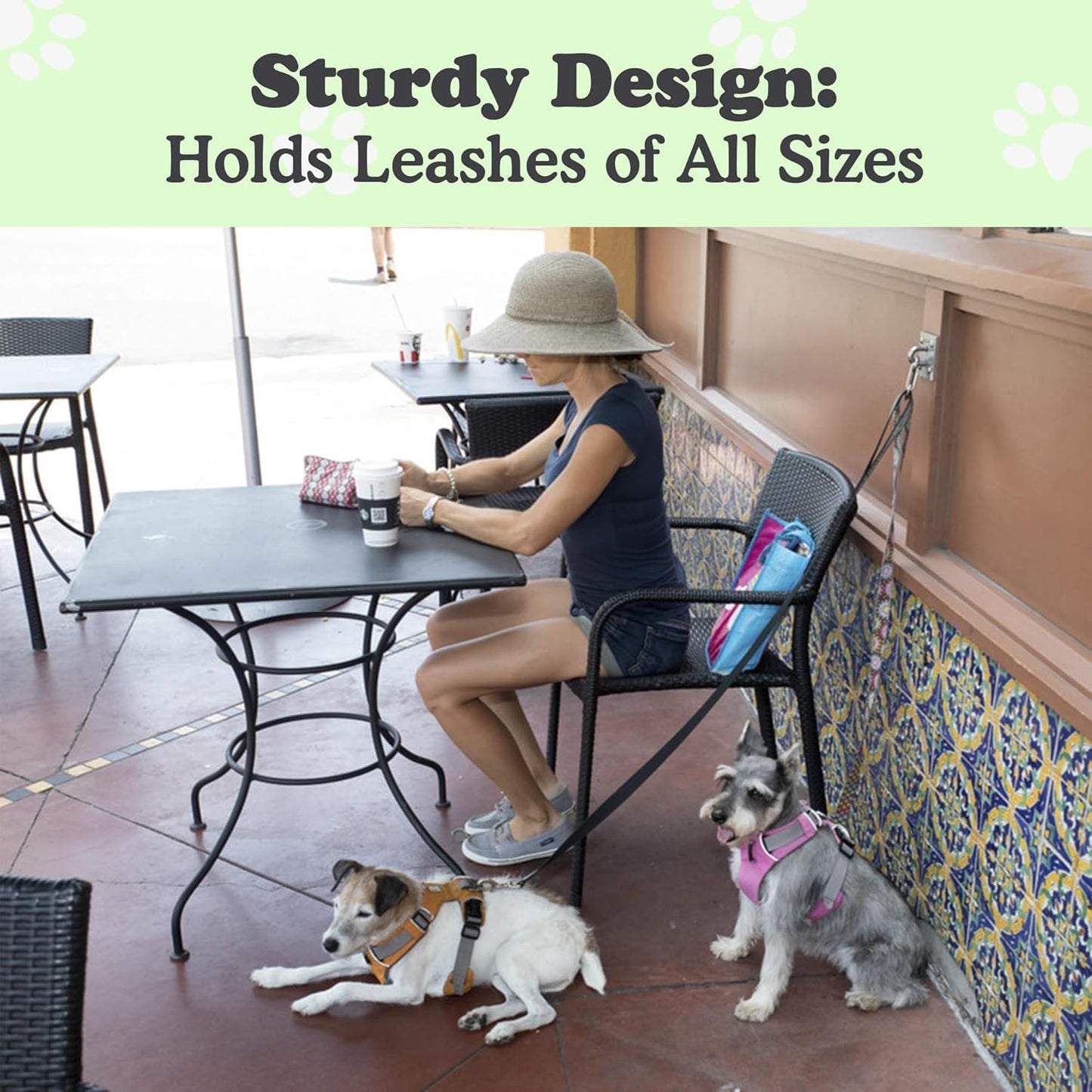 Canine Hitch- Secure Dog Leash Parking Wall Large Hook with Clip 2 Pack - Tie Out Stainless Steel & ABS Mounting Plate for Strength - Practical Lead Management for Home & Business