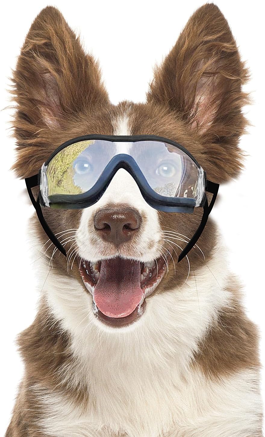 Dog Goggles Anti-UV Windproof Dog Sunglasses Eye Protection for Medium Large Dogs with Adjustable Straps/Clear Lense