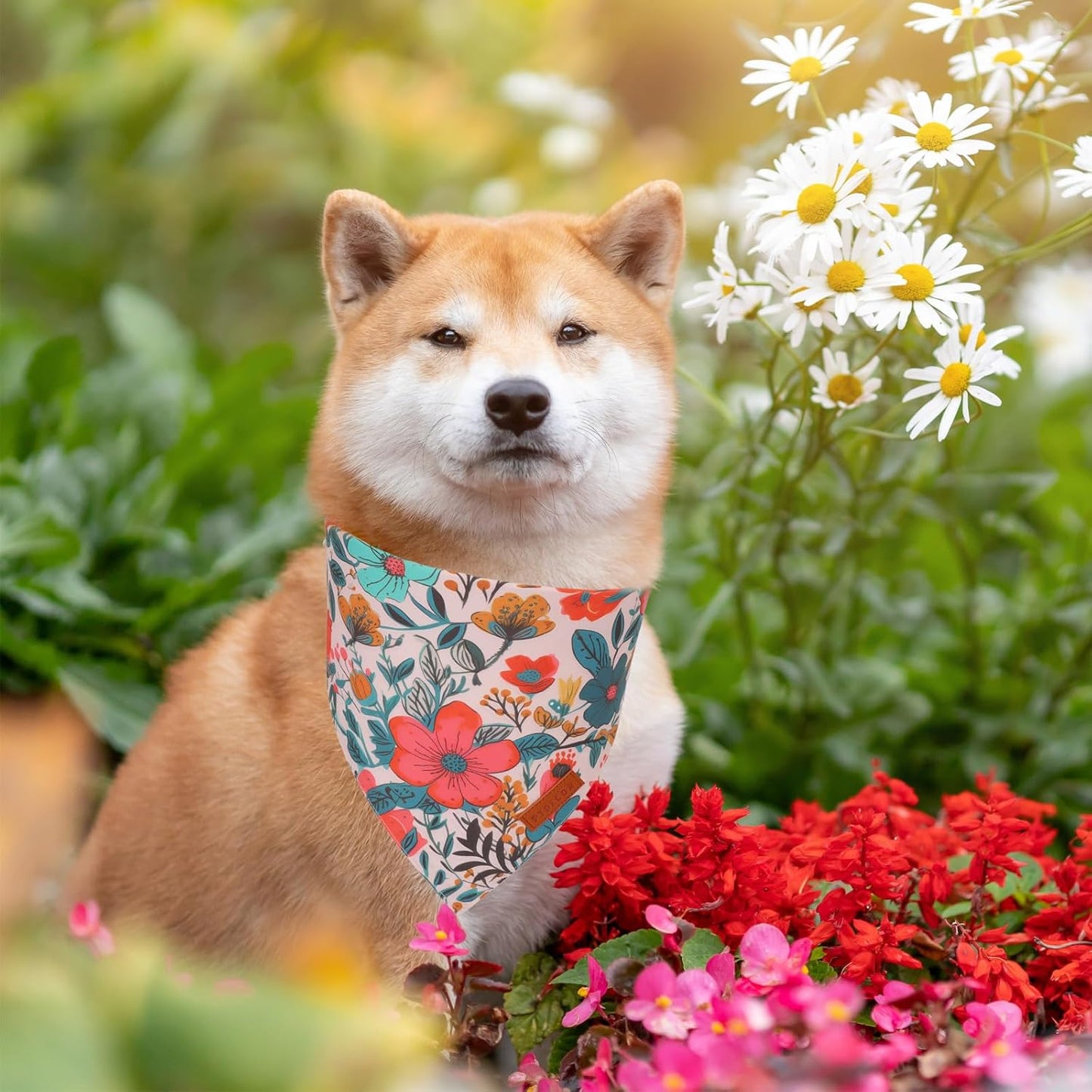 PTDECOR Flower Dog Bandana,2 Pcs Floral Reversible Dog Scarf, Multi Size, Triangle Pet Bandanas for Medium Large Dogs (Flower, Large)