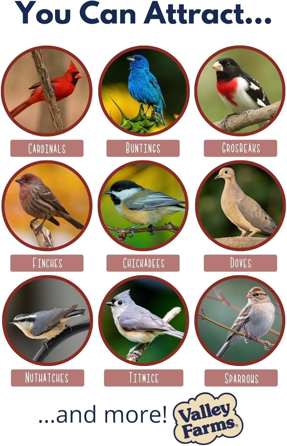 Valley Farms Cardinal Mix (3 LB) Wild Bird Food for Outside Feeders, Cardinal Bird Seed with Black Oil Sunflower Seeds and Safflower Seeds, Attract a Variety of Wild Birds