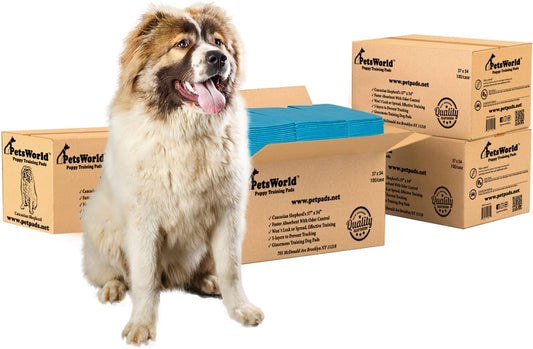 PETSWORLD Enormous Dog Training & Potty Pads, 37x54 inch - Tear Resistant with Strong Leak-Proof Backing, Optional Adhesive Tape, 400 Count