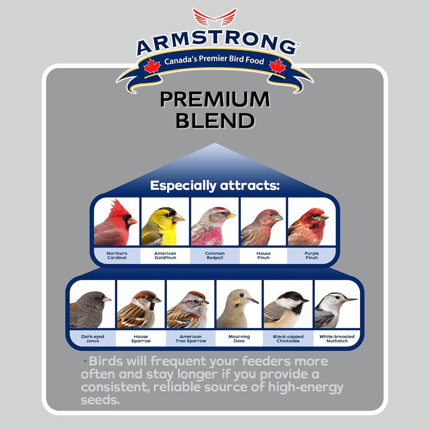 Armstrong Wild Bird Food Premium Blend, 30.8 Pounds - with White Millet, Black Oil Sunflower, Wheat, Peanuts, Striped Sunflower and Safflower for Northern Cardinals and Black-Capped Chickadees