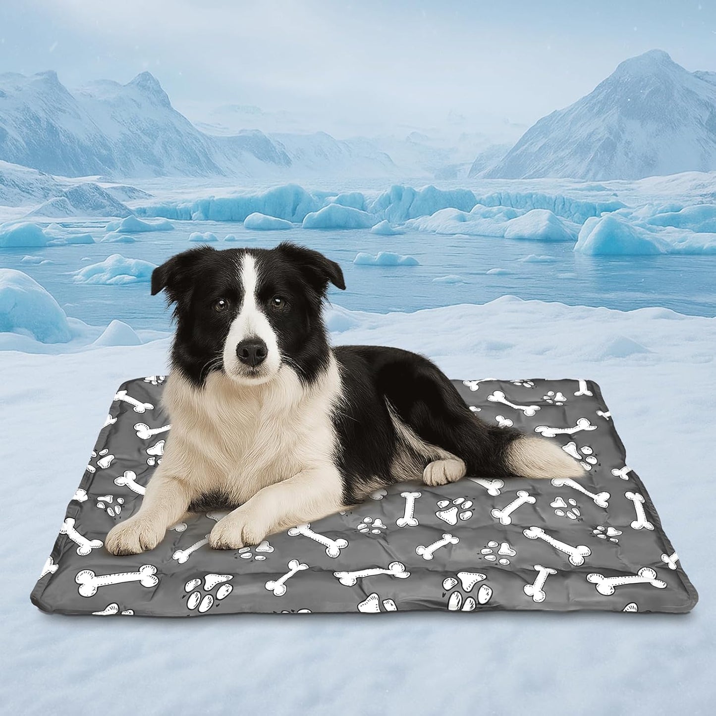 Cooling Pad for Large Dog,Instant Pet Cool Mat,Comfortable Cool Pet Mat for Cat.Portable Dog Bed for Summer. Suitable for Outdoor Summer Crate Pad.Long Time Cooling.Bone(Size-L 19.7 * 23.6in)