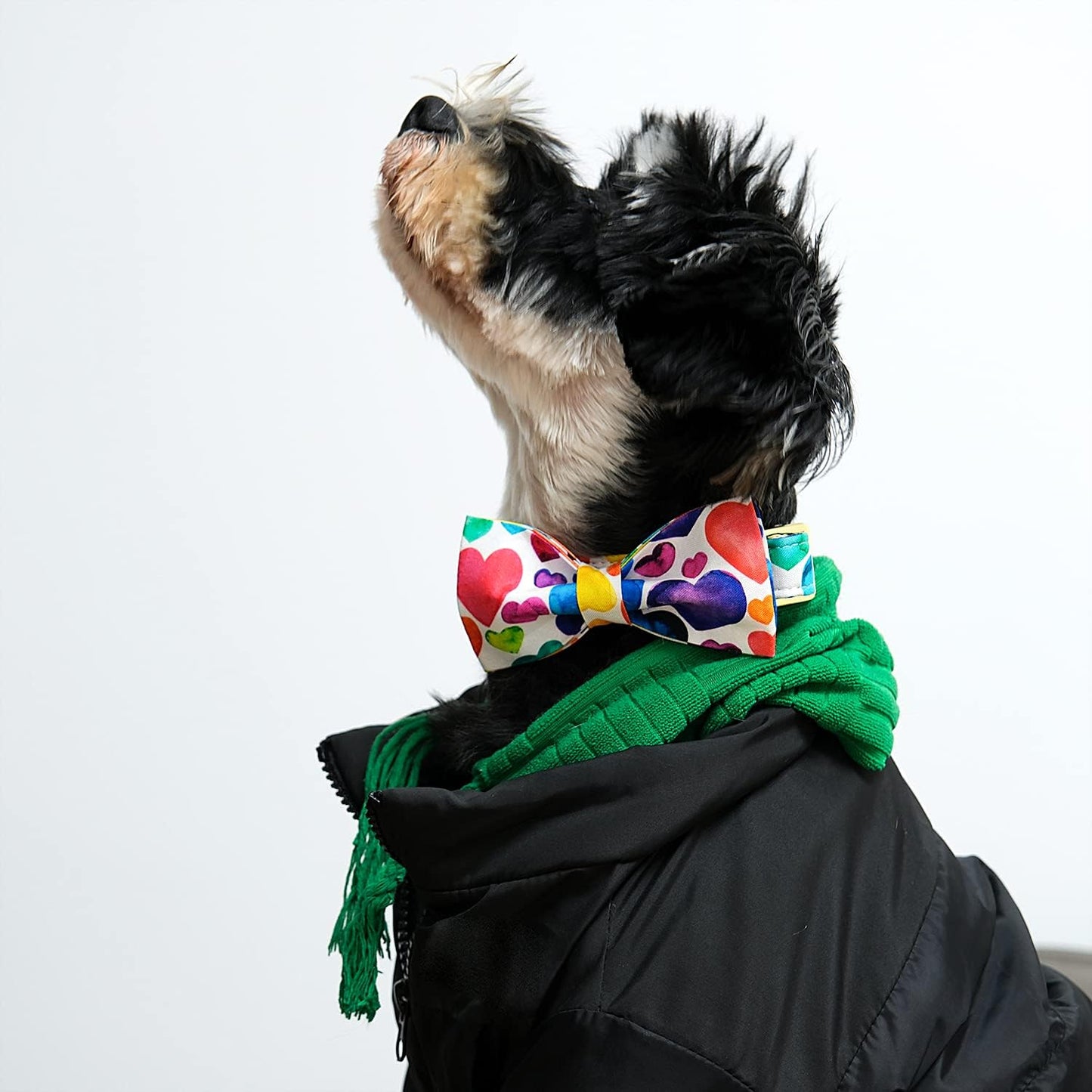 Lionet Paws Valentine's Day Dog Collar with Bowtie, Soft and Comfortable, Adjustable Collar for Large Dogs, Neck 16-24 inches