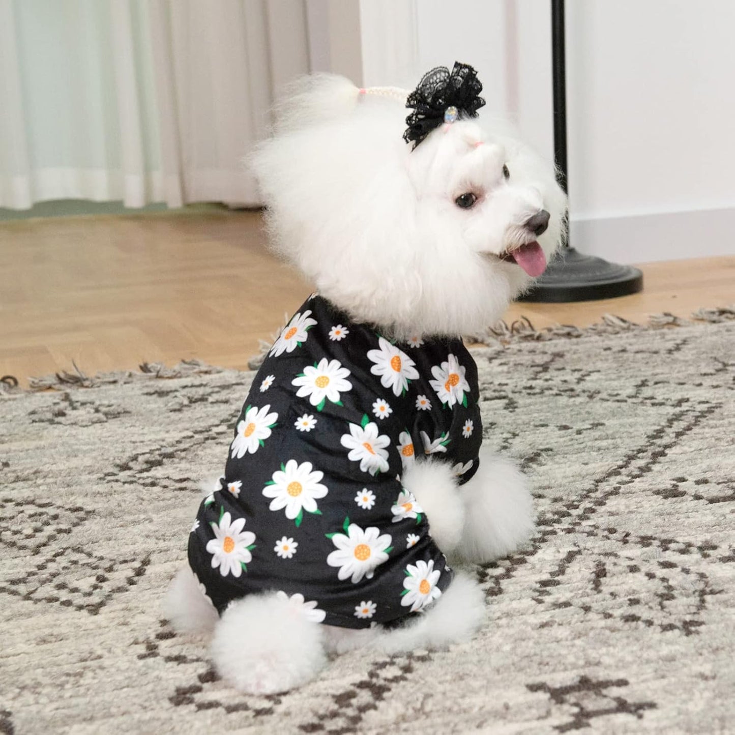 CuteBone Small Dogs Outfit Soft Puppy Onesies Pjs Dog Pajamas Pet Coat Cat Apparel Comfy Doggie Jumpsuit Bodysuit for All Seasons P221L