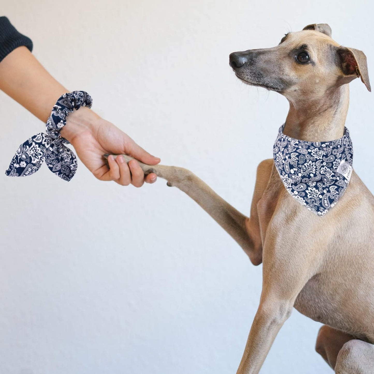 E-Clover Dog Bandanas Boy & Matching Scrunchie Set Dog Bandana Scarf Bibs with Bow Scrunchies for Medium Large Dogs Pet Owner Mom Boho