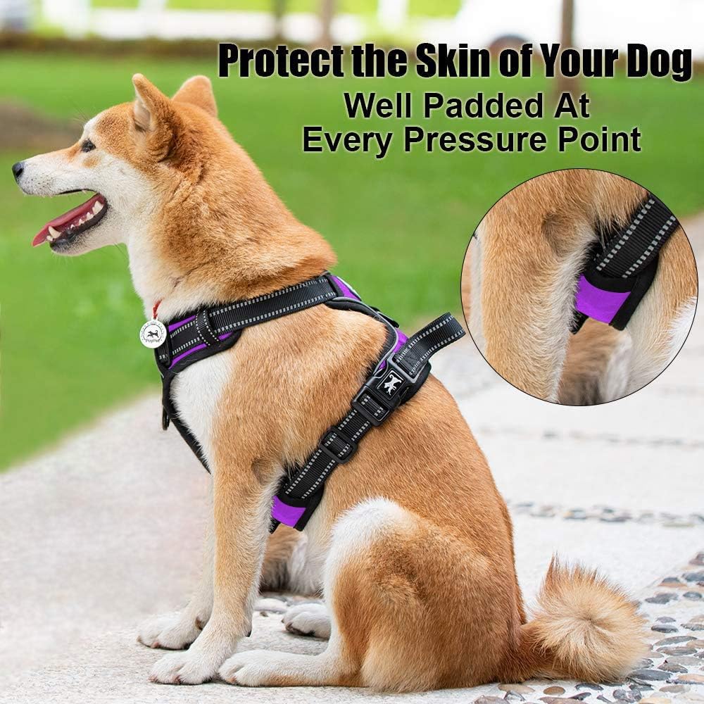PoyPet No Pull Dog Harness, Reflective Comfortable Vest Harness with Front & Back 2 Leash Attachments and Easy Control Handle Adjustable Soft Padded Pet Vest for Small to Large Dogs (Purple,XL)
