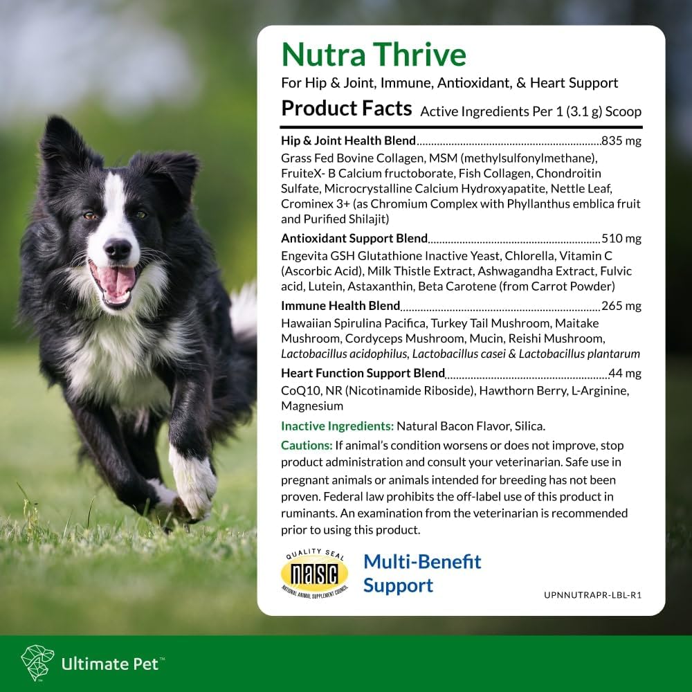 Ultimate Pet Nutrition Nutra Thrive Canine, 40-in-1 Nutritional Powder Supplement for Dogs with Digestion and Immune Support, Vitamins, Minerals, Probiotics, Enzymes, 30 Scoops