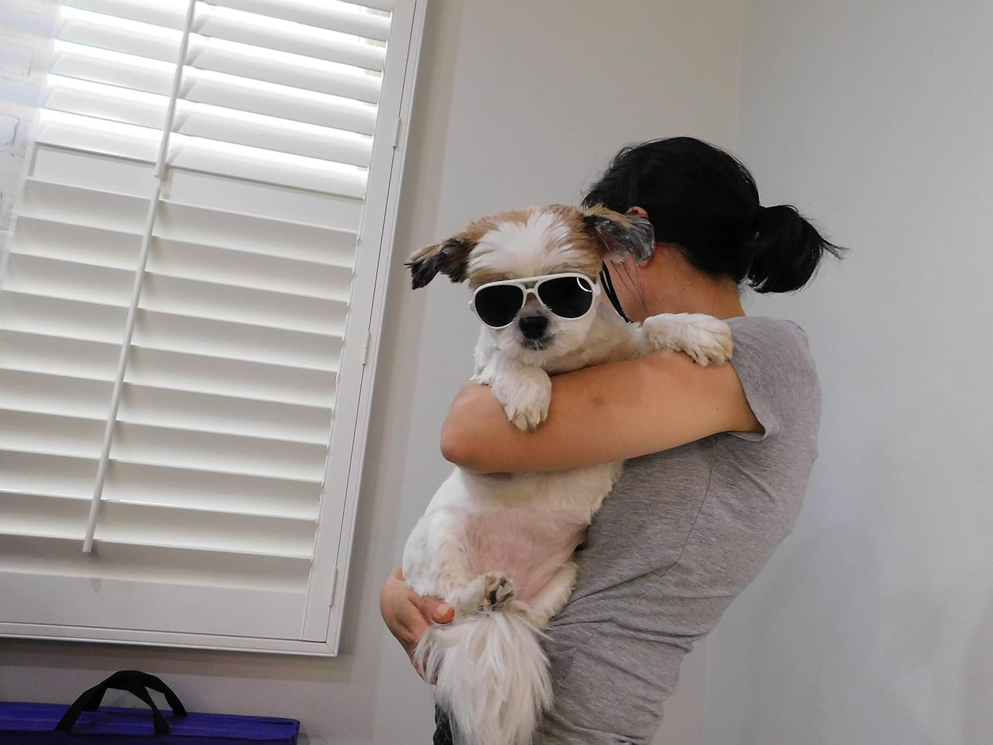 G029 Dog Cat Pet Aviator Sunglasses Glasses for Small Breeds up to 15lbs (White)