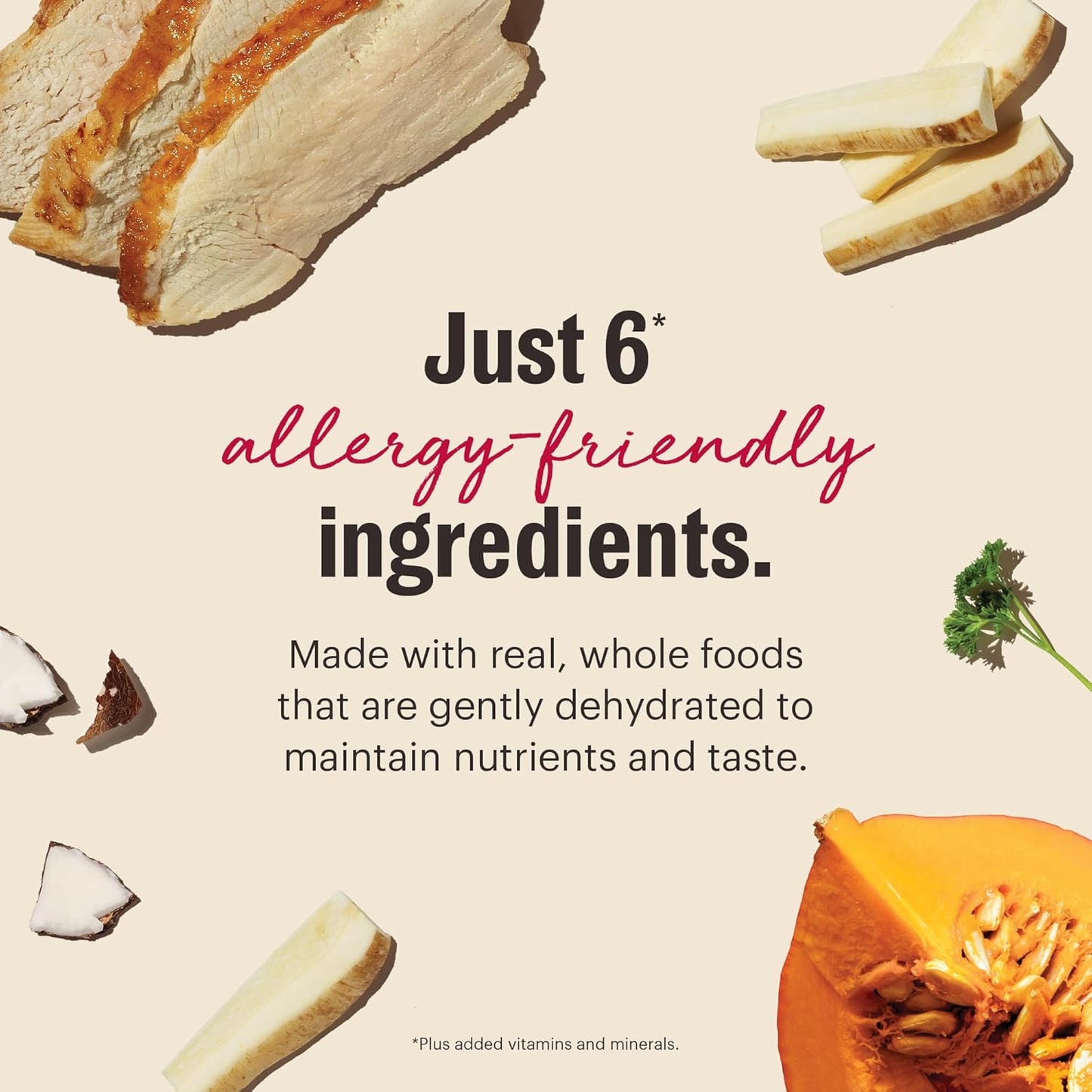 The Honest Kitchen Wholemade™ Limited Ingredient Turkey Dog Food, 4 lb Box