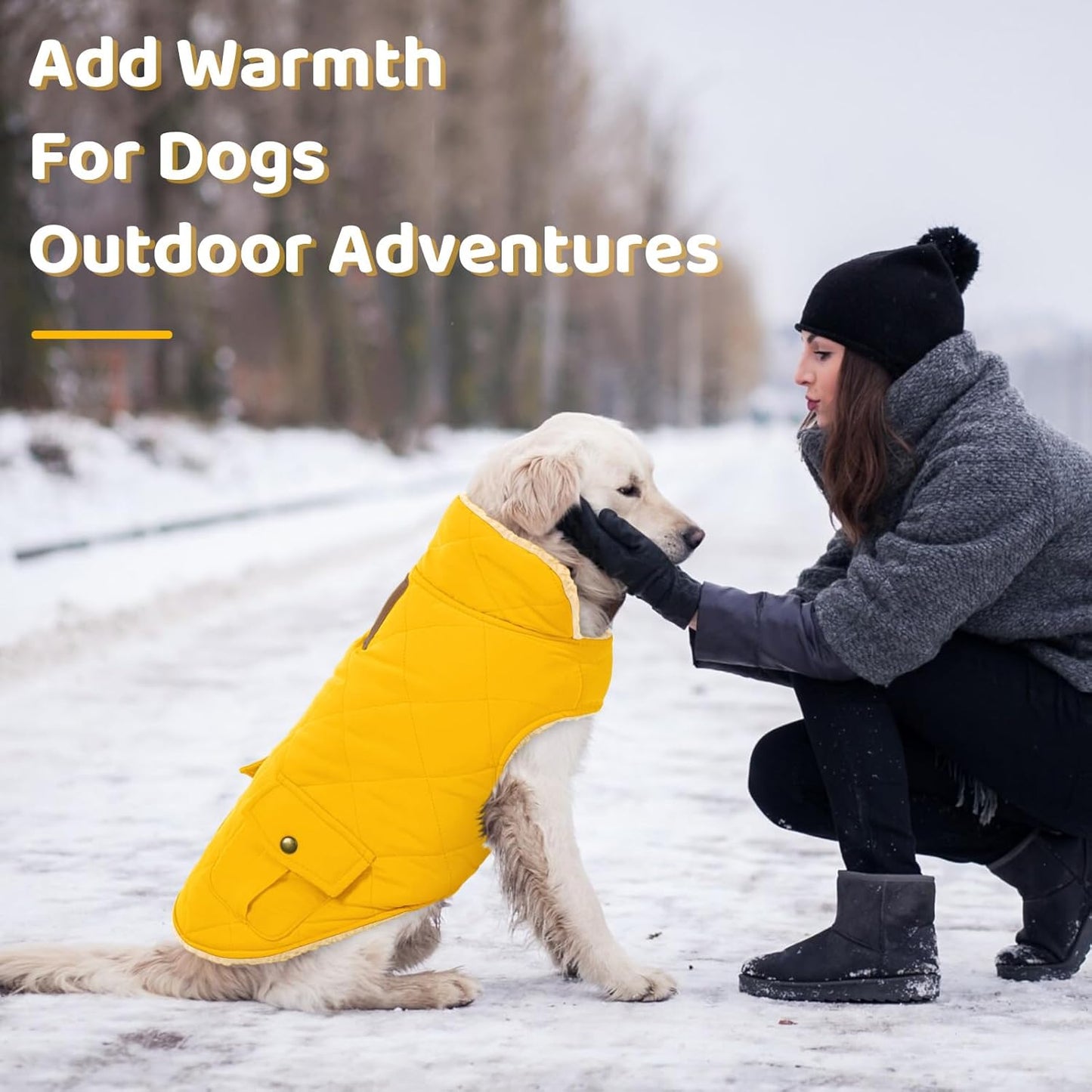 Queenmore Dog Winter Coat Warm Puffer Jacket Waterproof Plush Lining Thermal Cold Weather Vest for Small Medium Large Dogs, Windproof Easy On Pet Jacket Yellow S