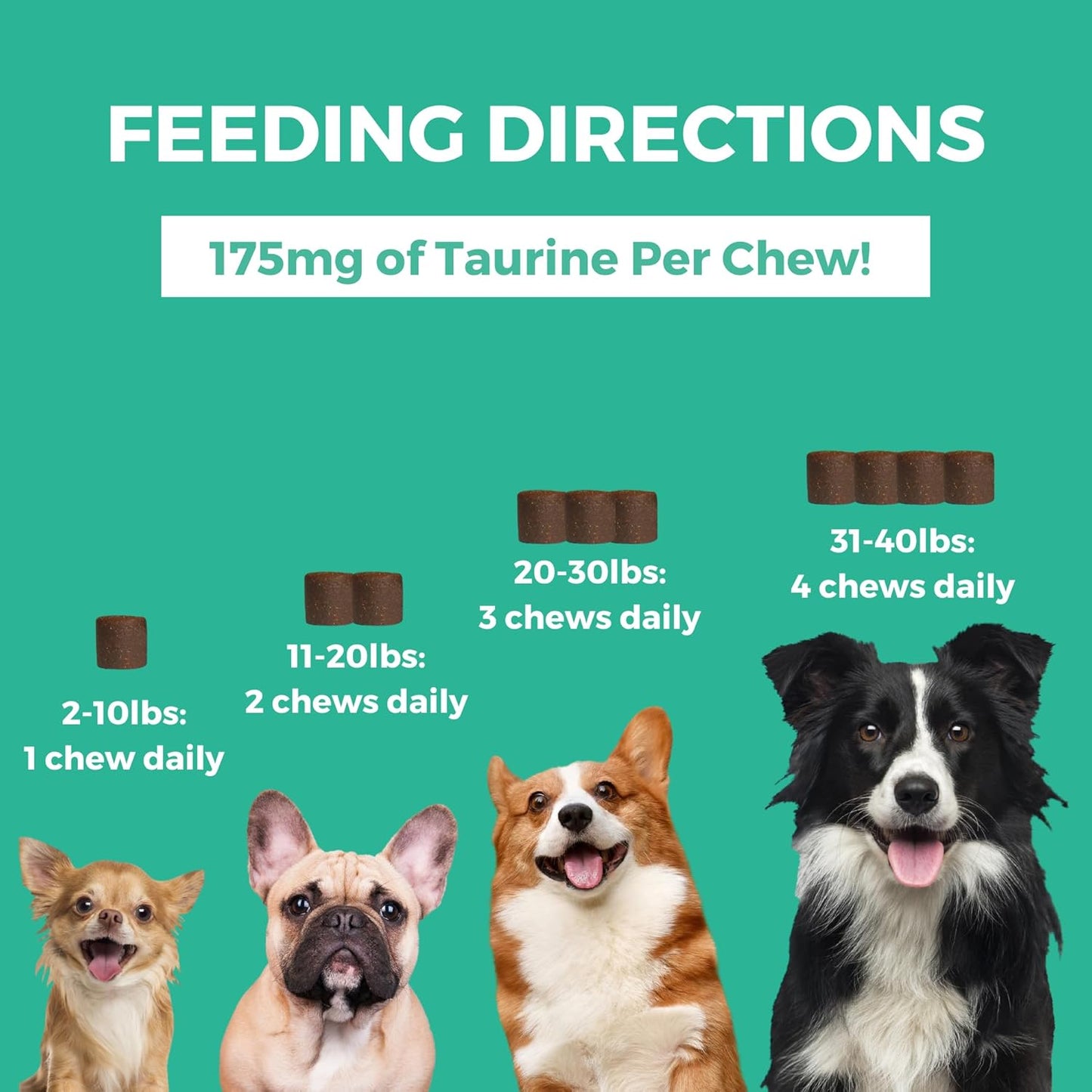 Nootie PROGILITY Daily Mini Multivitamin Chews for Dogs - Supports Immunity, Heart, Eye, Brain, and Bone Health with Taurine- for All Dog Sizes - 60 Soft Chews - Sold in Over 5,000 Pet Stores