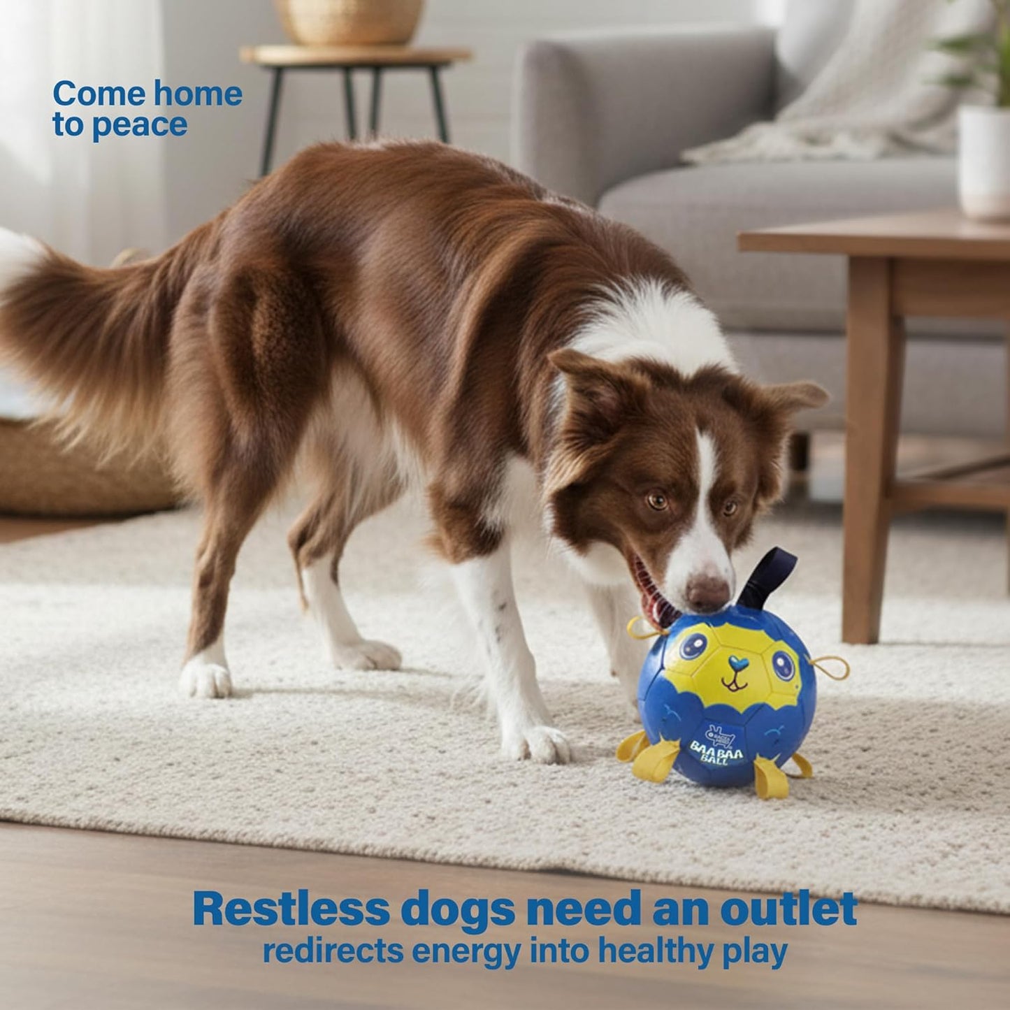 Race&Herd 7" Jolly Soccer Ball for Dogs - Tough Durable Dog Ball Toy with Straps, Pet Bouncy Herding Balls for Dogs, Floating Dog Balls with Tags for Water Fetch (BaaBaaBall, Soccer Sheep)