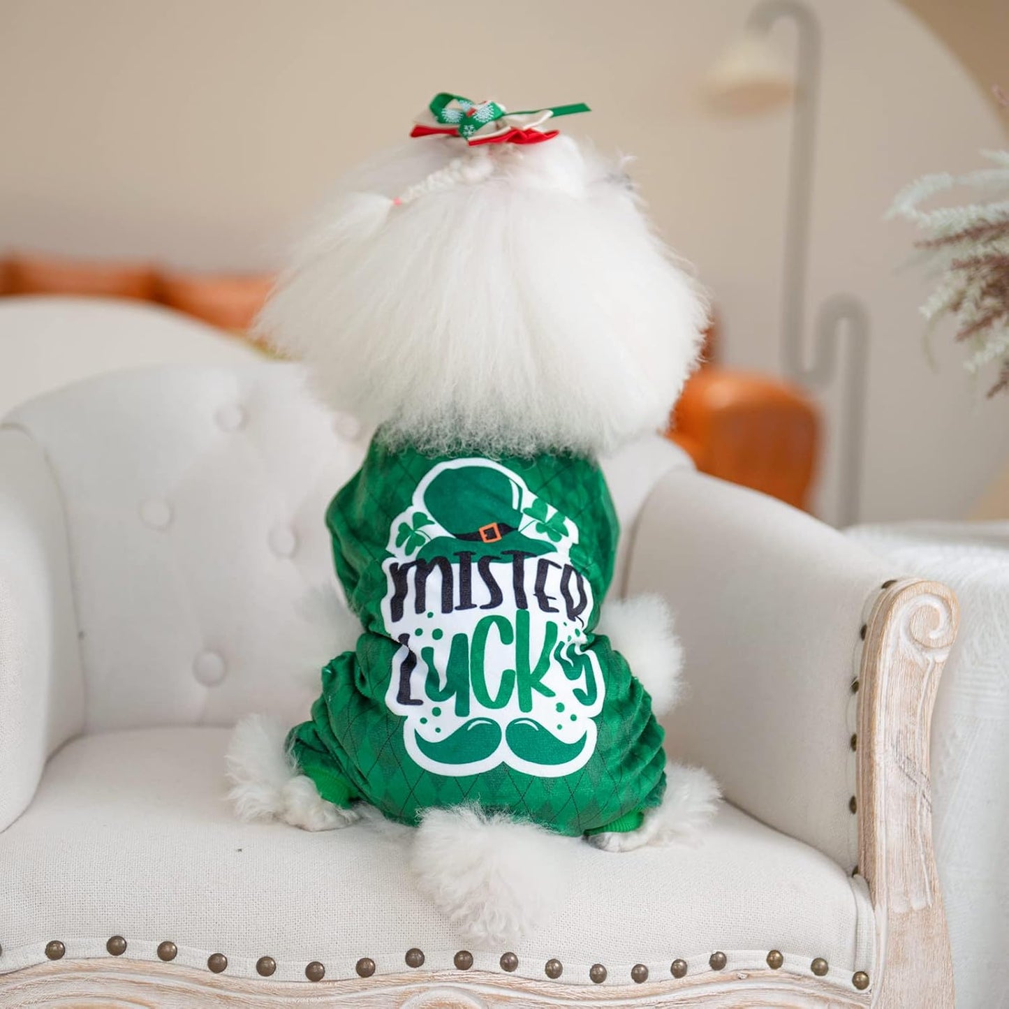 CuteBone Dog St.Patrick's Day Pajamas Puppy Onesies Small Dogs Soft Pjs Coat Cat Apparel Comfy Pet Clothes Outfit Doggie Bodysuit P274S