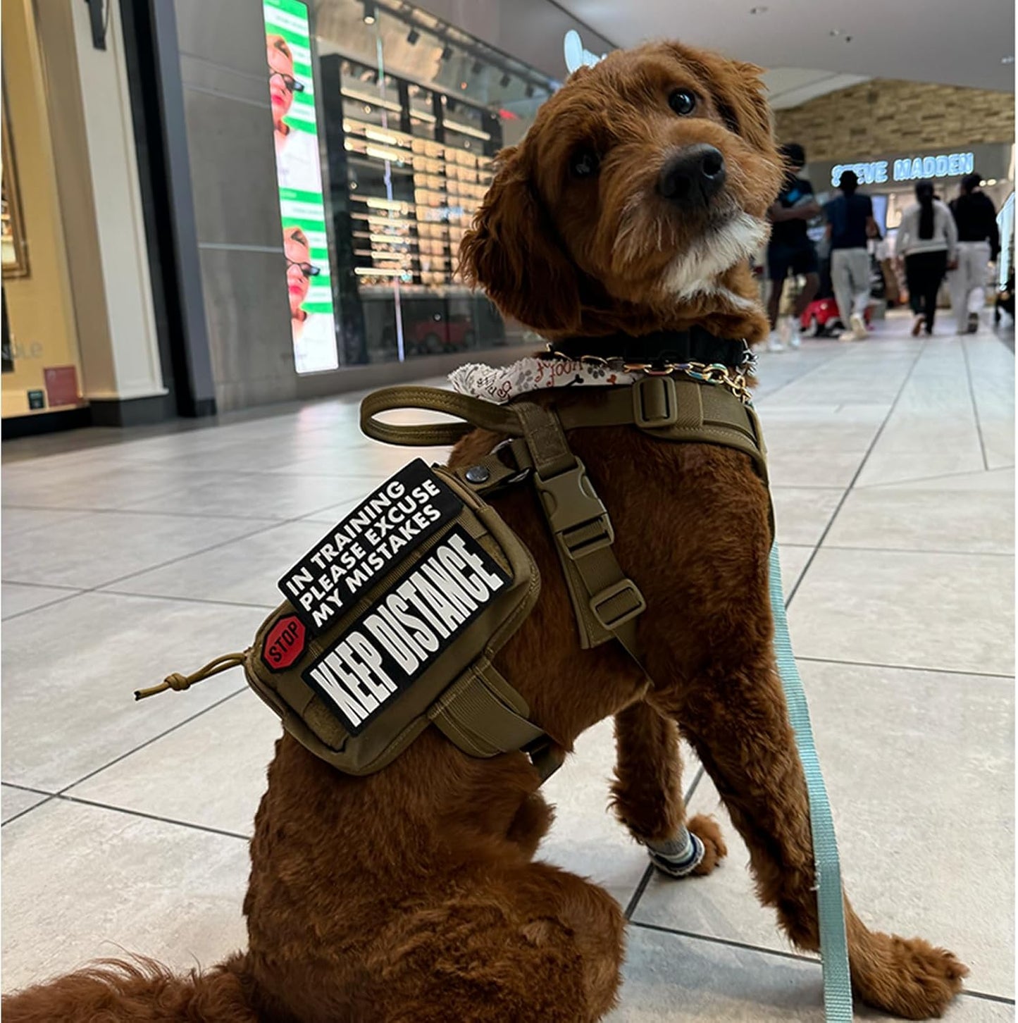 OneTigris Service Dog Vest Harness, Service Dog Cape Guardian Dog Backpack Harness with Pouches Dog Saddle Bag for Small Medium and Large Dogs (Brown, Small)