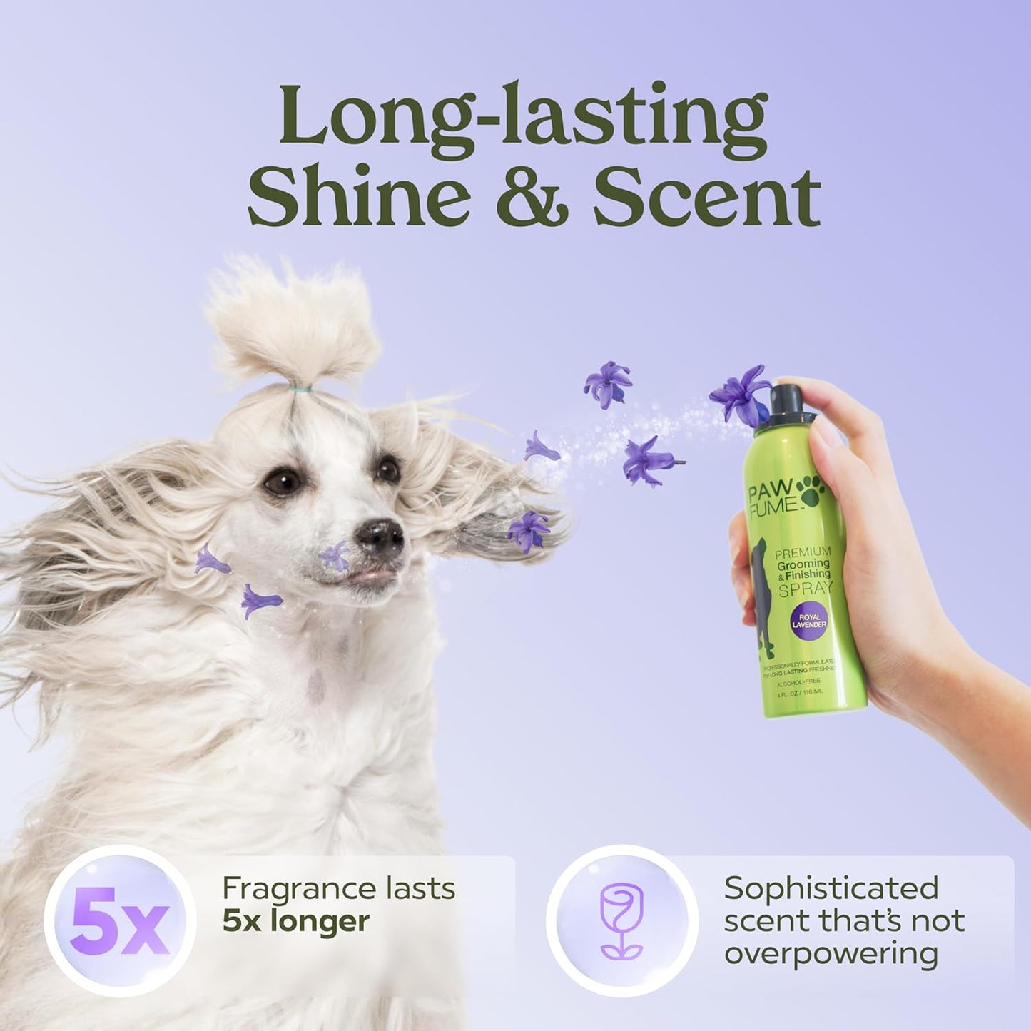PAWFUME Dog Detangler Grooming Spray, Royal Lavender, 2-Pack – Keeps Pups Fresh All Day – Hypoallergenic, Alcohol-Free, Detangling & Moisturizing – Salon-Quality Dog Necessities for Coat & Fur Care