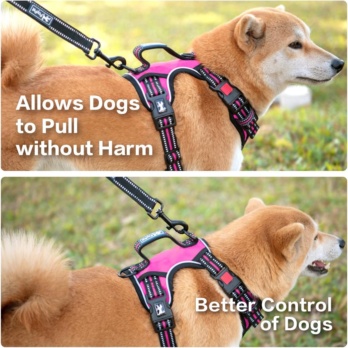 PoyPet No Pull Dog Harness, No Choke Front Clip Reflective Dog Vest with Soft Padded Vertical Handle, 3 Leash Attachments for Small Medium Large Dogs (Pink,M)