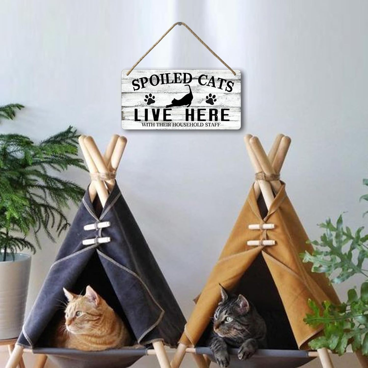Cat Wall Decor For Cat Lovers Hanging Wood Cat Home Decor Fall Cat Wooden Sign Cat Christmas Decor Spoiled Cats And Their Staff Live Here Sign Cats Only Signs Cat Welcome People Tolerated Sign 12x6 In