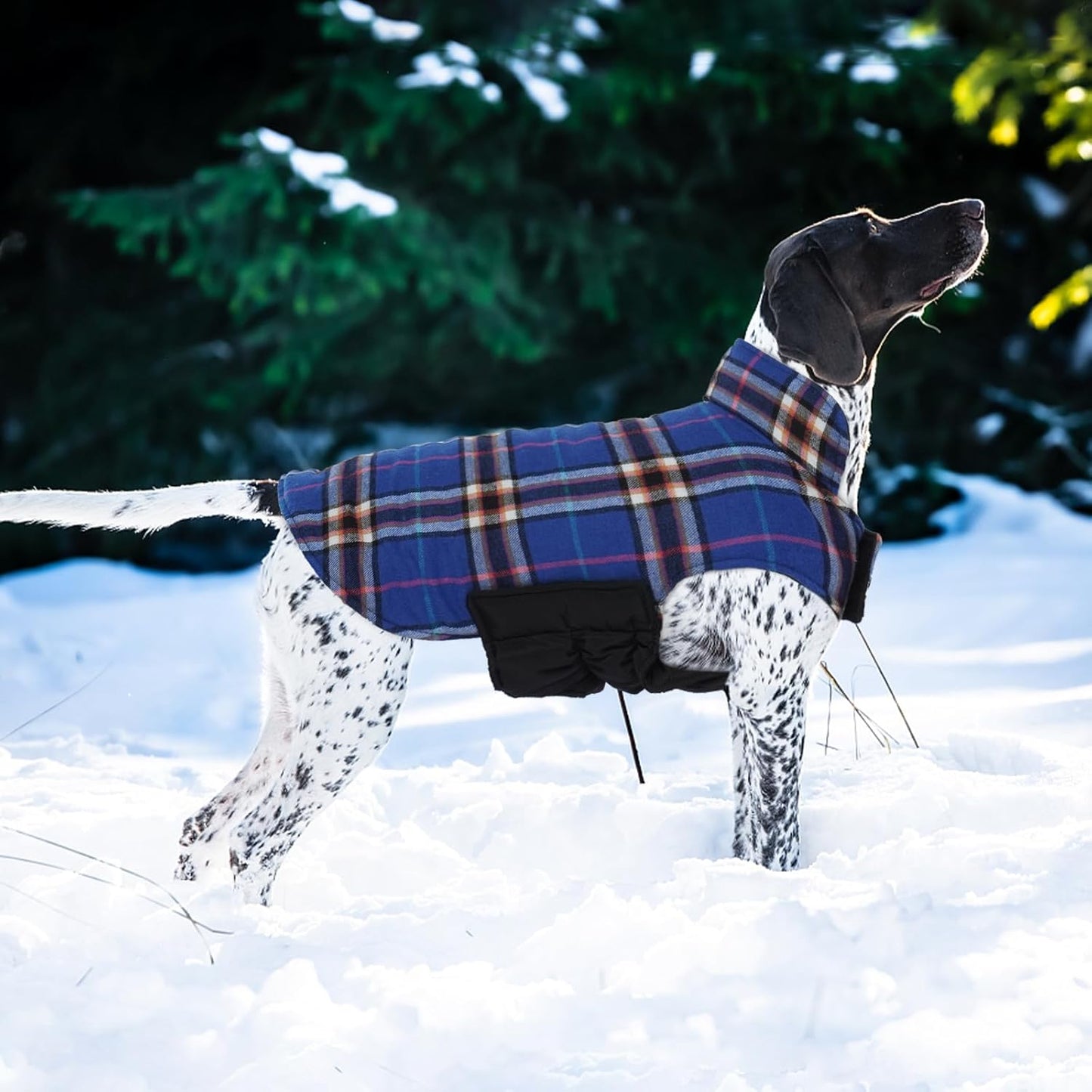 Kuoser Waterproof Dog Coat, Reversible Dog Jacket for Large Dogs, Adjustable Durable Doggie Winter Coat for Groowing Puppies Warm Puppy Cold Weather Apparel, Navy L