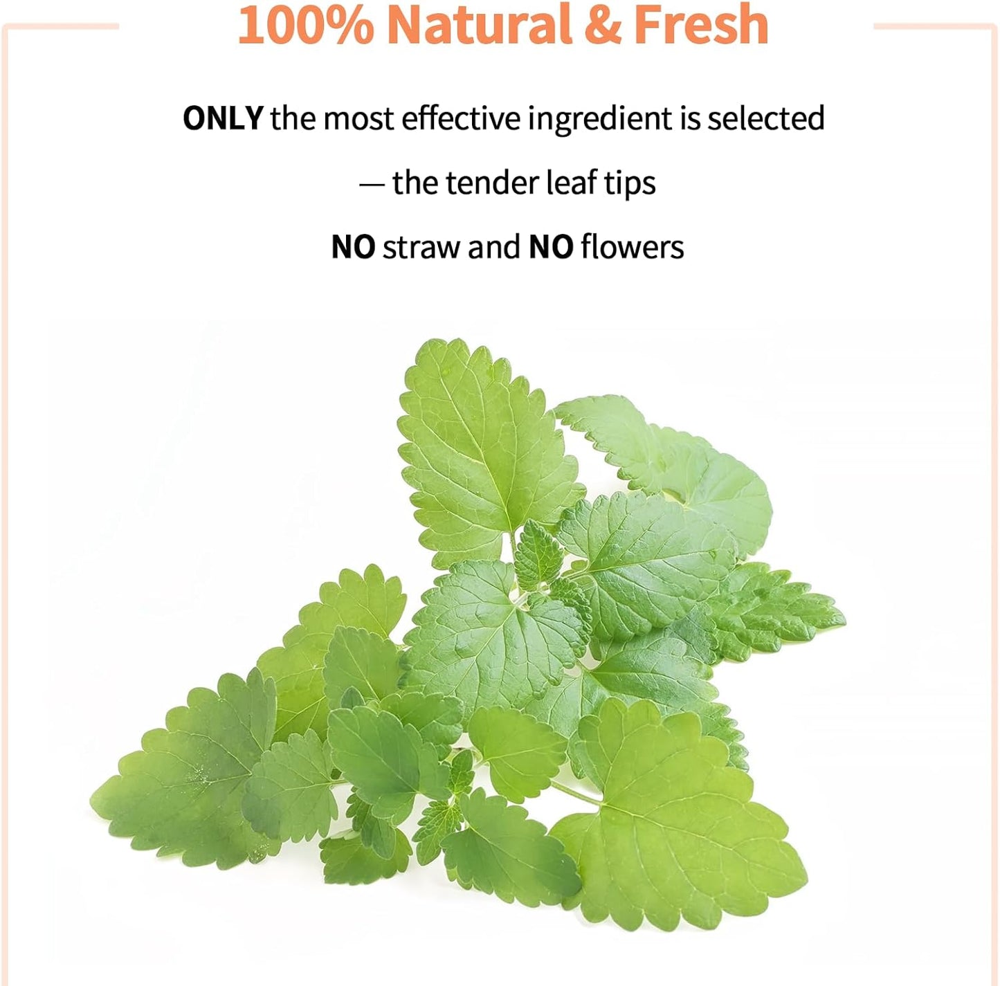 Premium Catnip for Cats & Kittens – Cold-Processed, High Potency Nepetalactone, 100% Pure Organic Leaf-Only Catnip for Toys, Scratchers, Refills, Stimulates Play & Protects Furniture - 45g