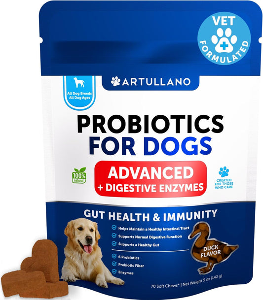 Probiotics for Dogs - Support Gut Health, Itchy Skin, Allergies, Immunity, Yeast Balance - Dog Probiotics and Digestive Enzymes with Prebiotics - Reduce Diarrhea, Gas - 70 Probiotic Chews for Dogs