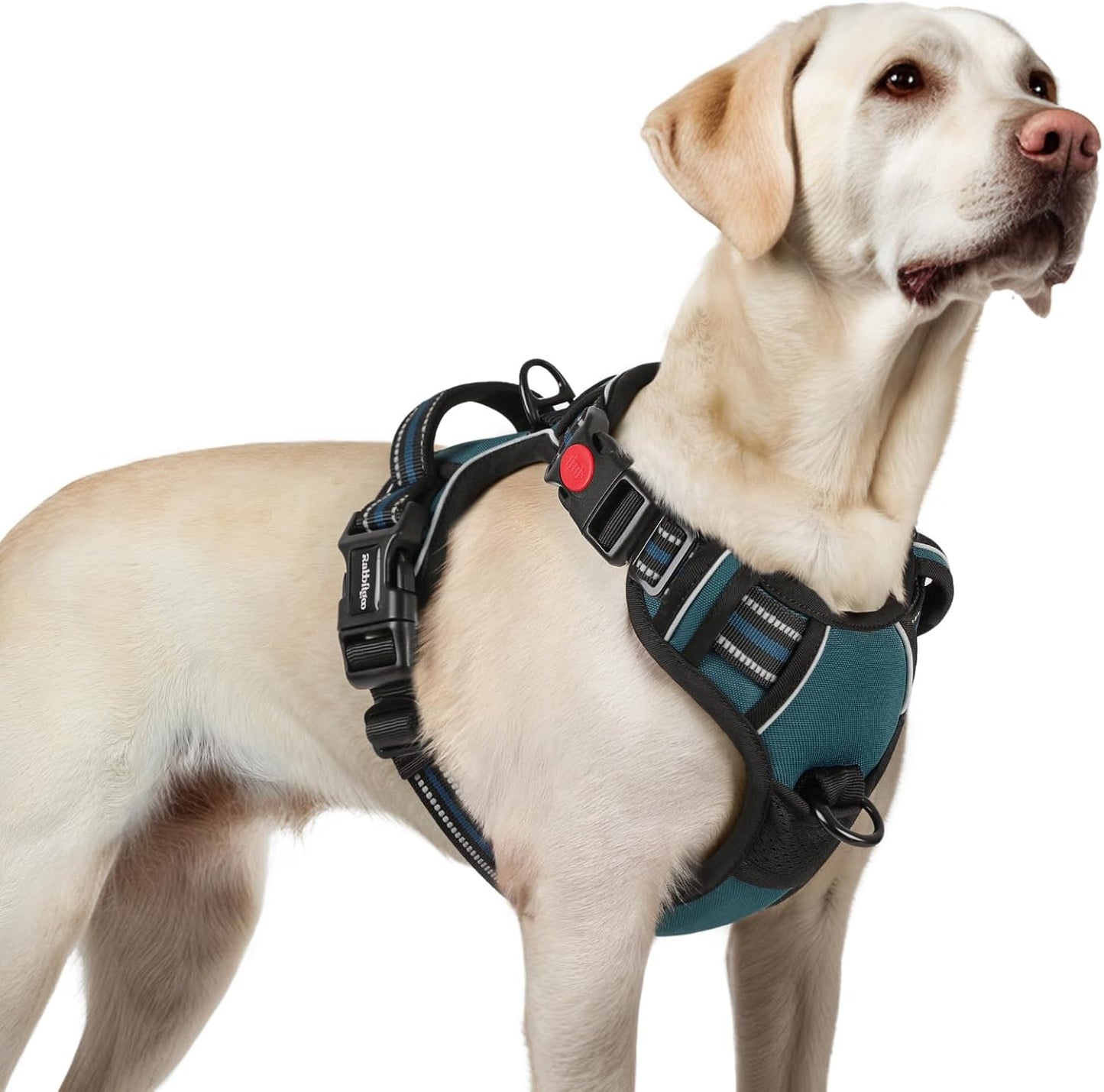 rabbitgoo Dog Harness for Large, No Pull Pet Harness with 3 Buckles, Adjustable Soft Padded Vest with Control Handle, Walking Reflective Pet Vest for Large Dogs, Blue Coral, L
