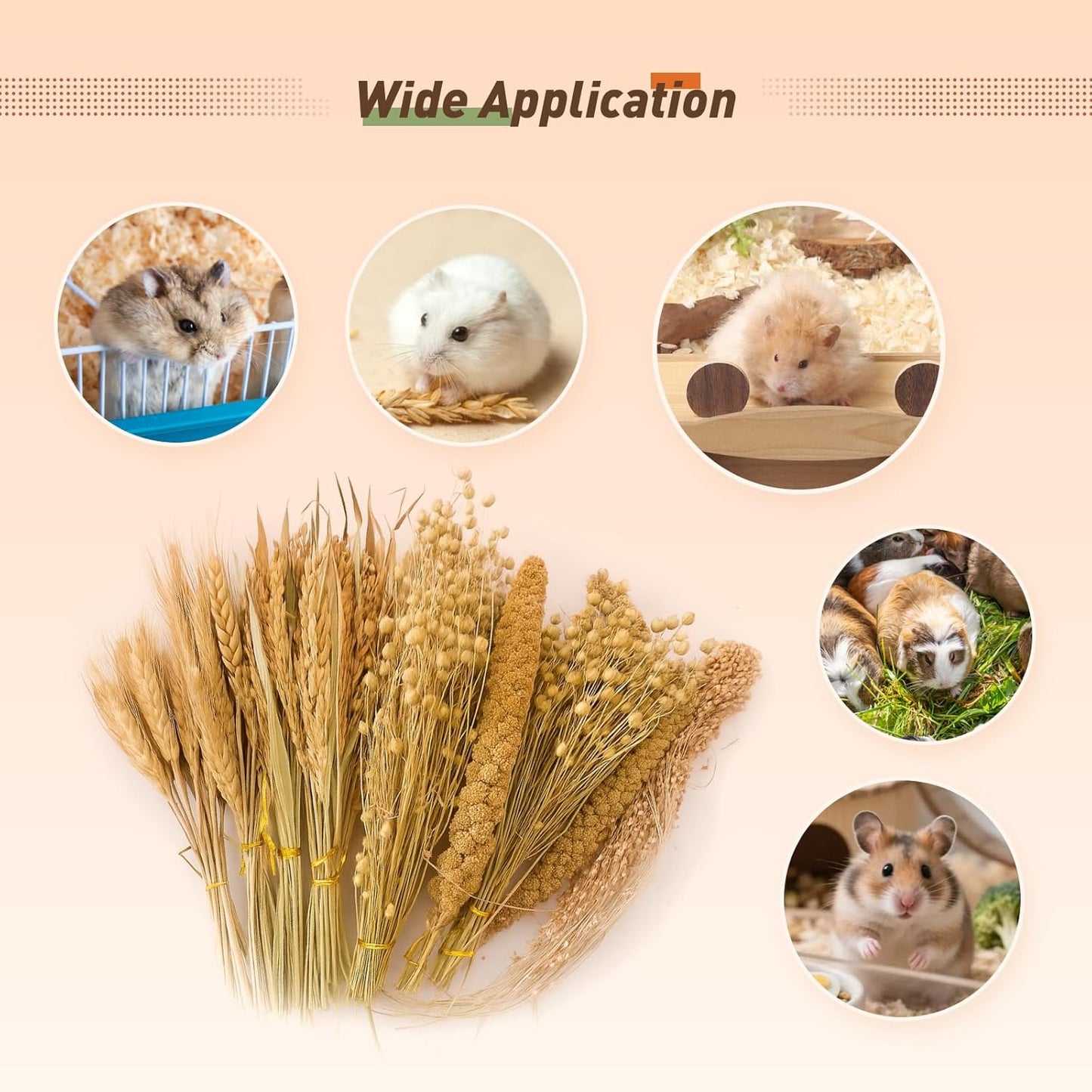 ZIPPYPET Hamster Sprays and Forage Accessories for Cages, Pet Mouse Decor Textures (5)