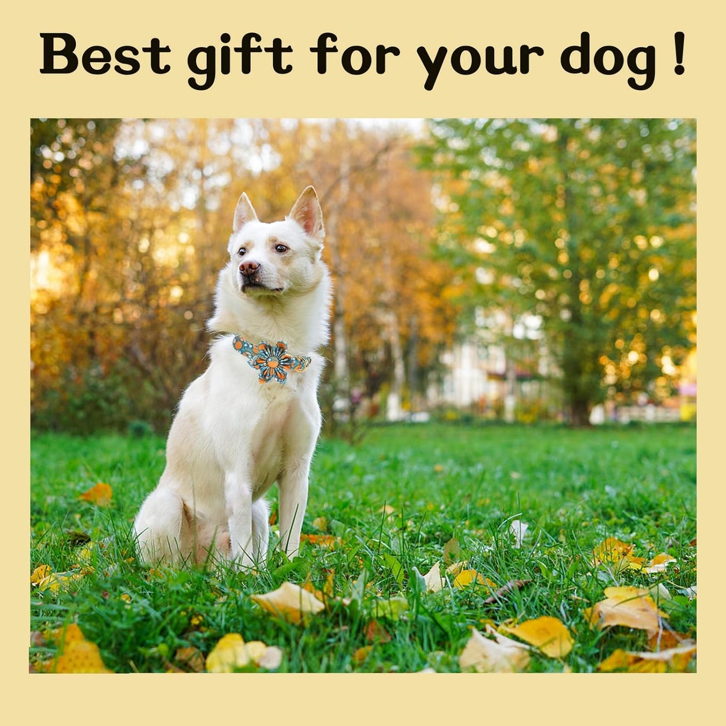 Unique style paws Halloween Dog Collar with Flower Tie Pumpkin Cotton Collar Adjustable Puppy Collar for Small Medium Large Dogs-M